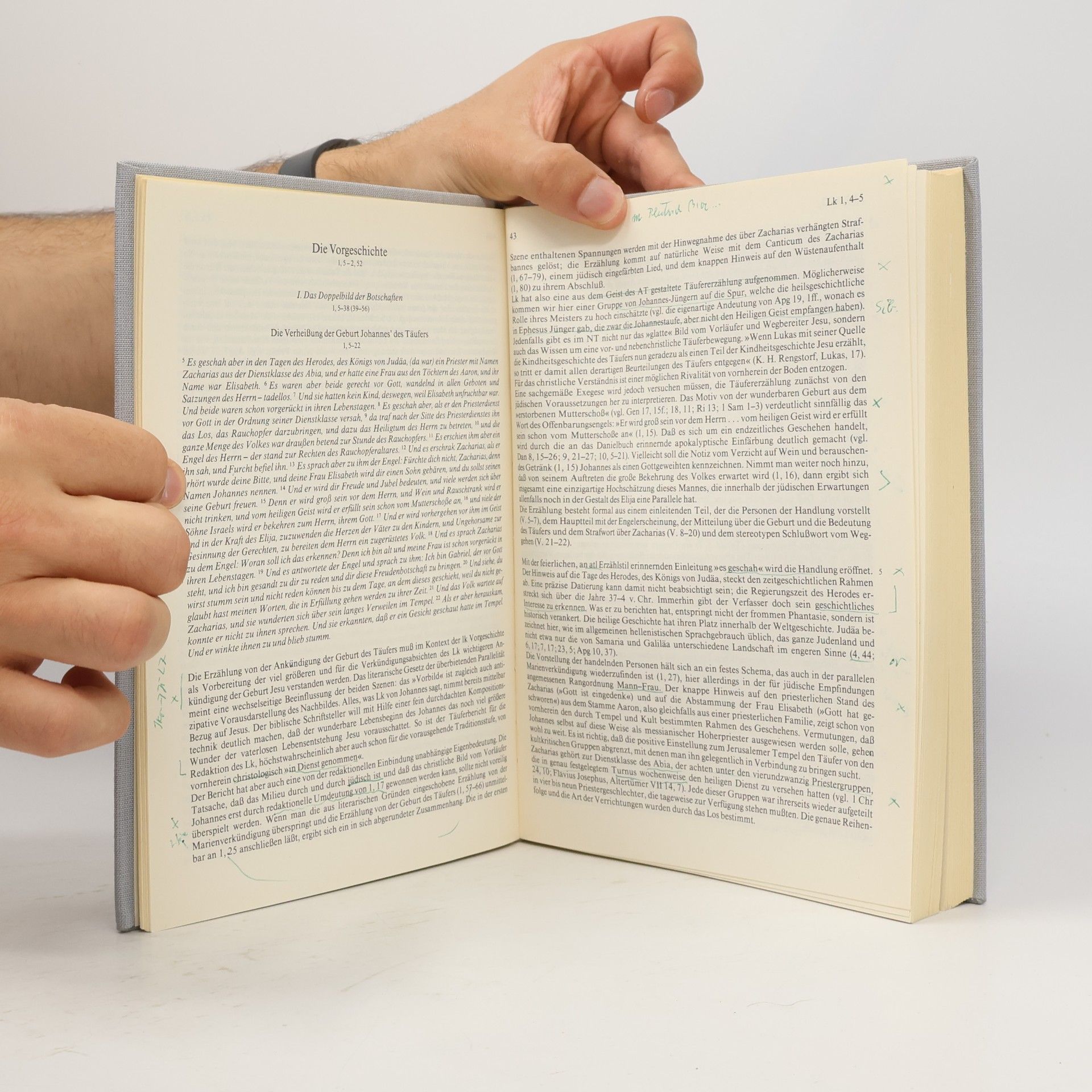 Serge Ernst Das Evangelium nach Lukas