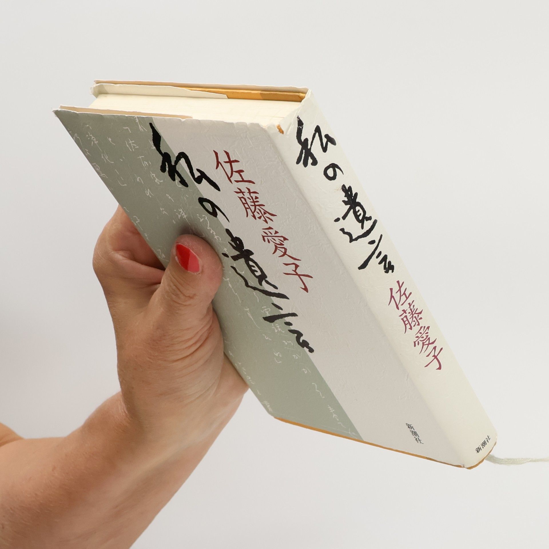 佐藤愛子 私の遺言
