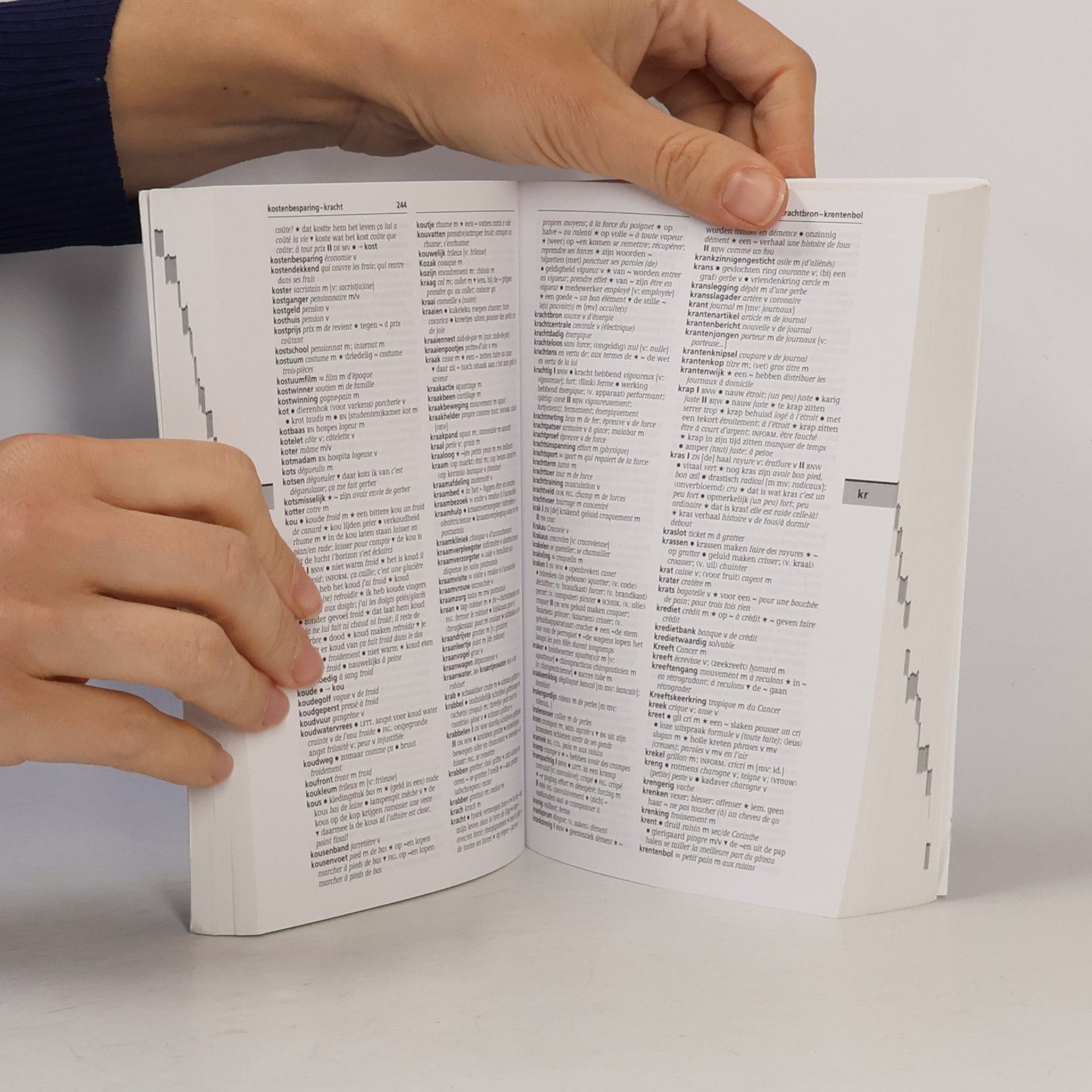 Various authors Prisma Woordenboek