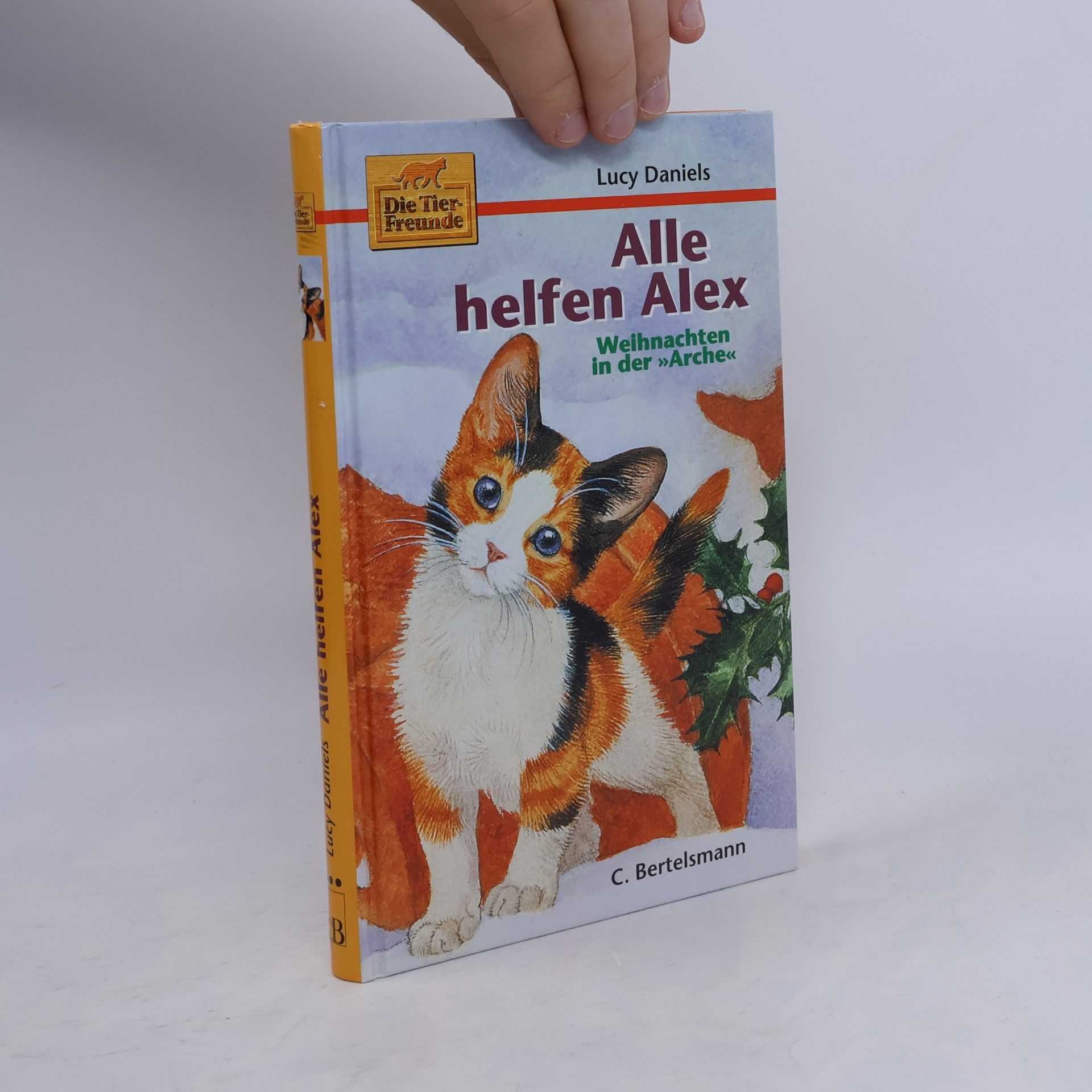 Lucy Daniels Alle helfen Alex