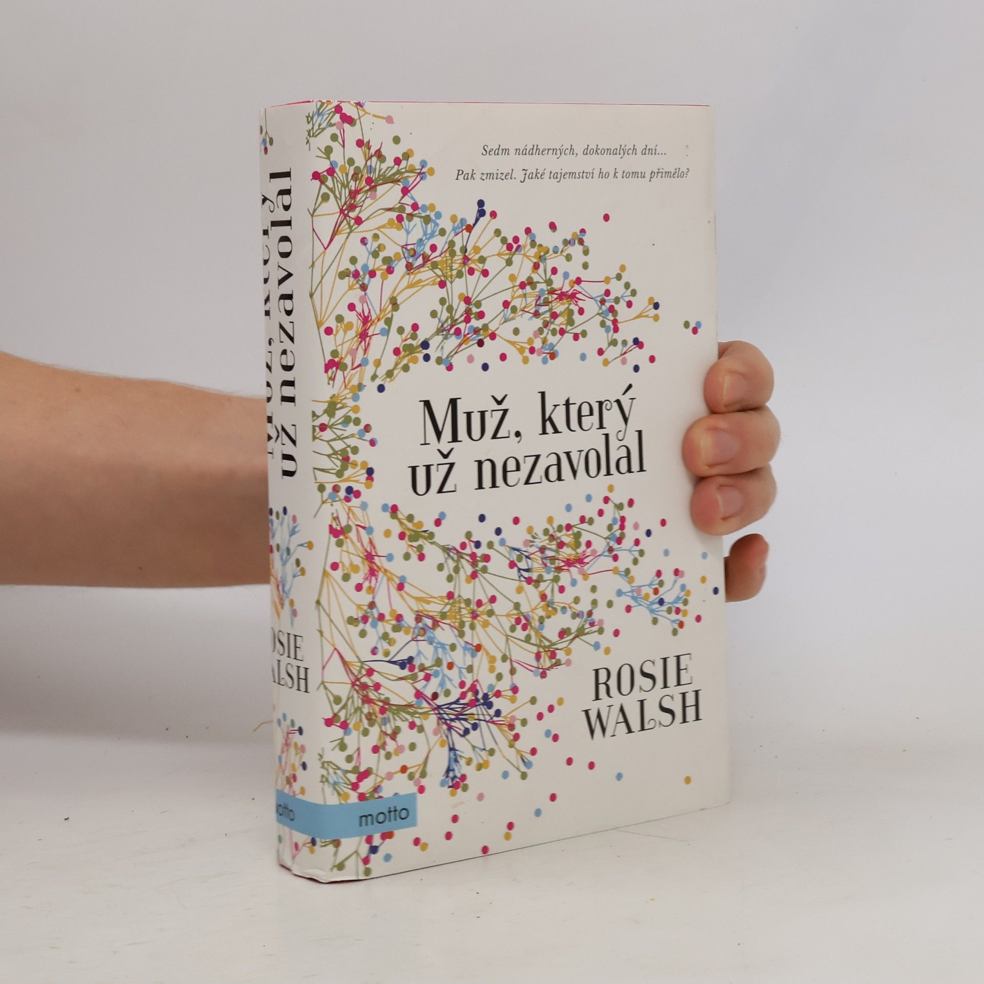 Rosie Walsh Muž, který už nezavolal