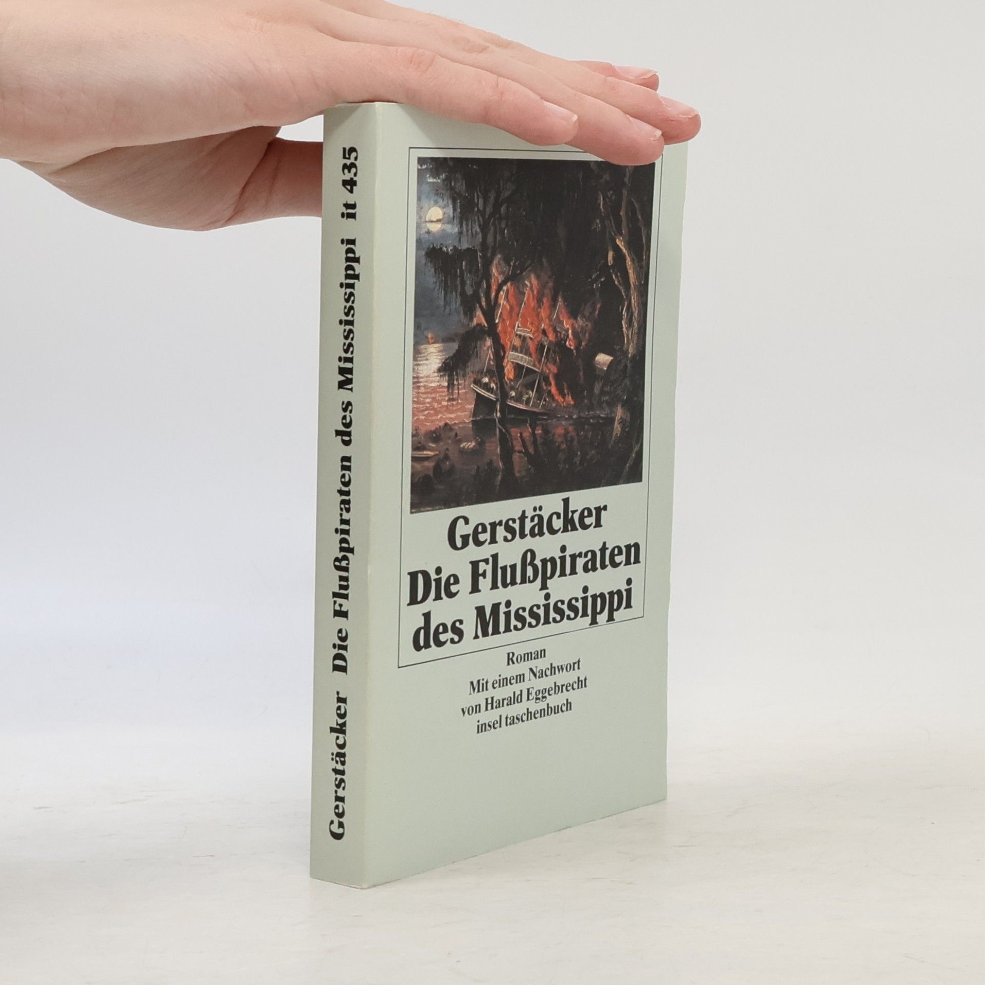Friedrich Gerstäcker Die Flusspiraten des Mississippi