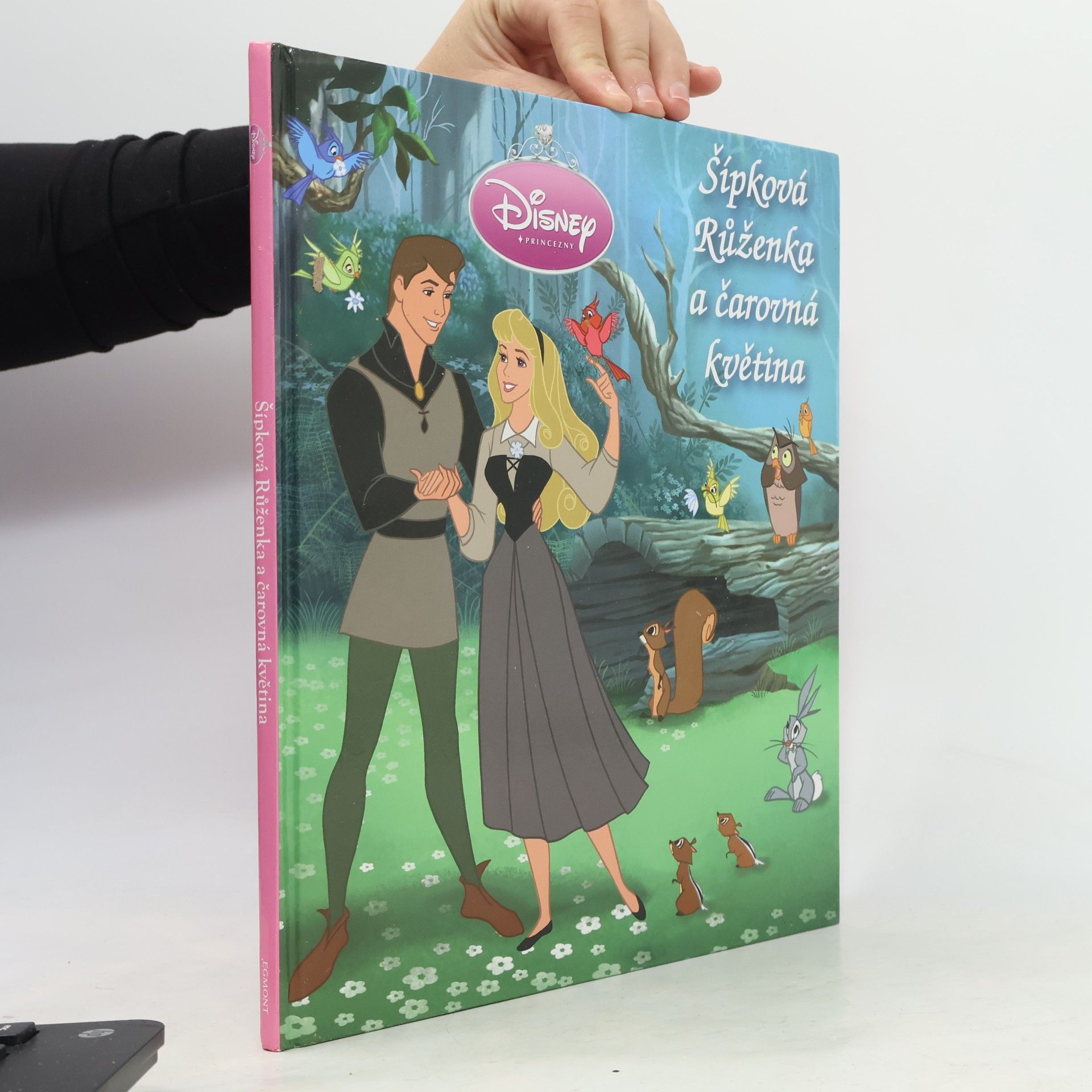 Walt Disney Šípková Růženka a čarovná květina