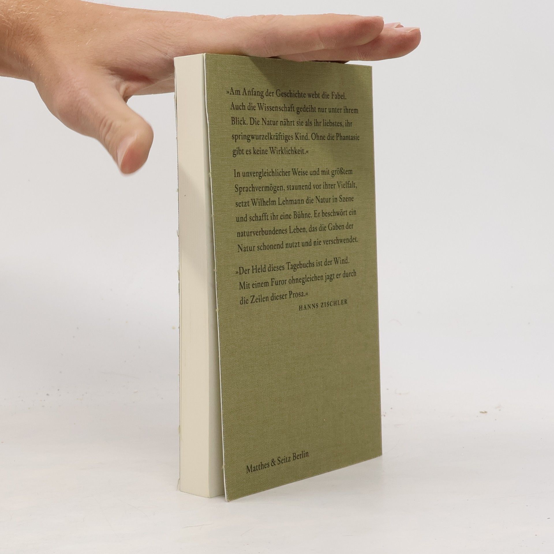 Wilhelm Lehmann Bukolisches Tagebuch und weitere Schriften zur Natur