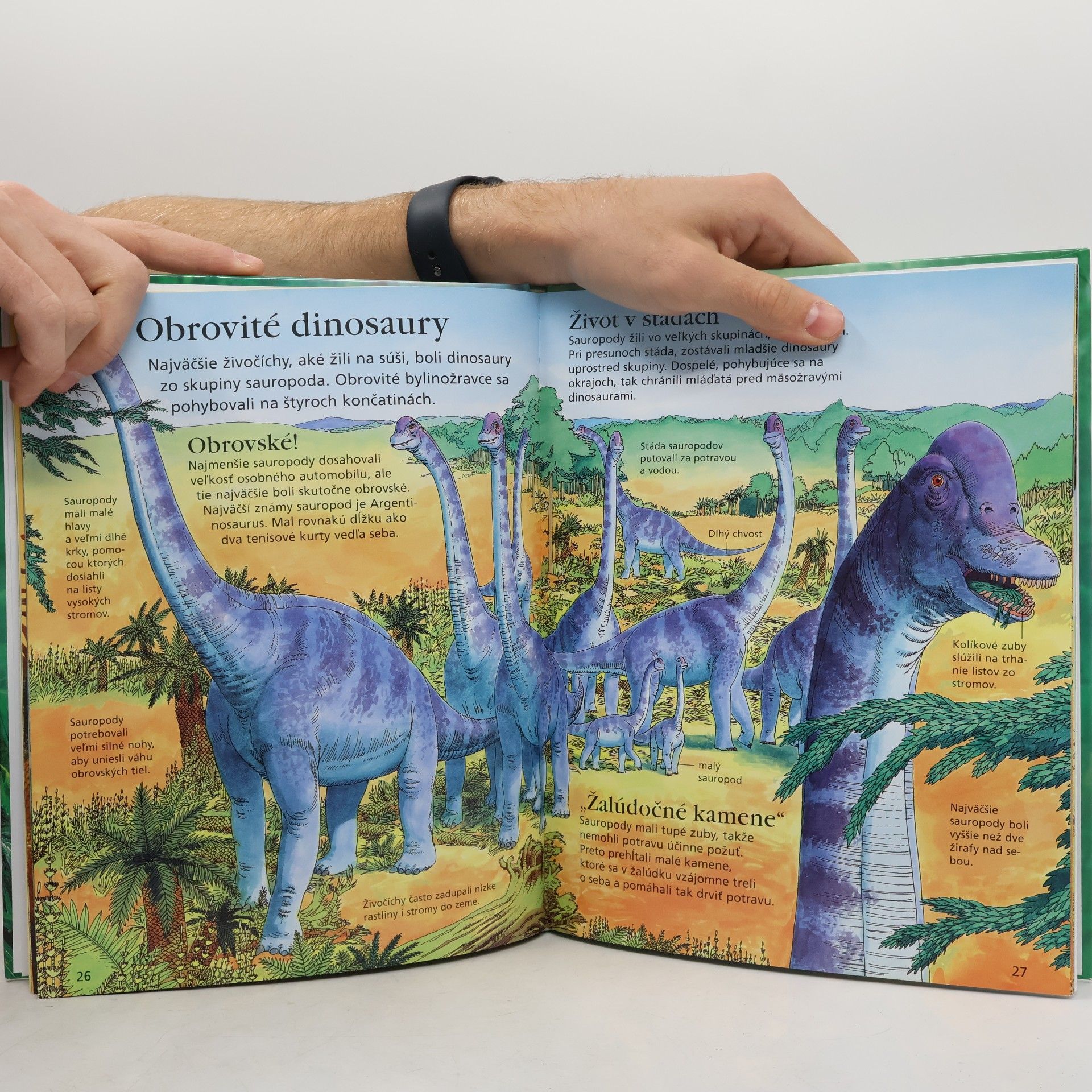 Sam Taplin Dinosaury a prehistorický život