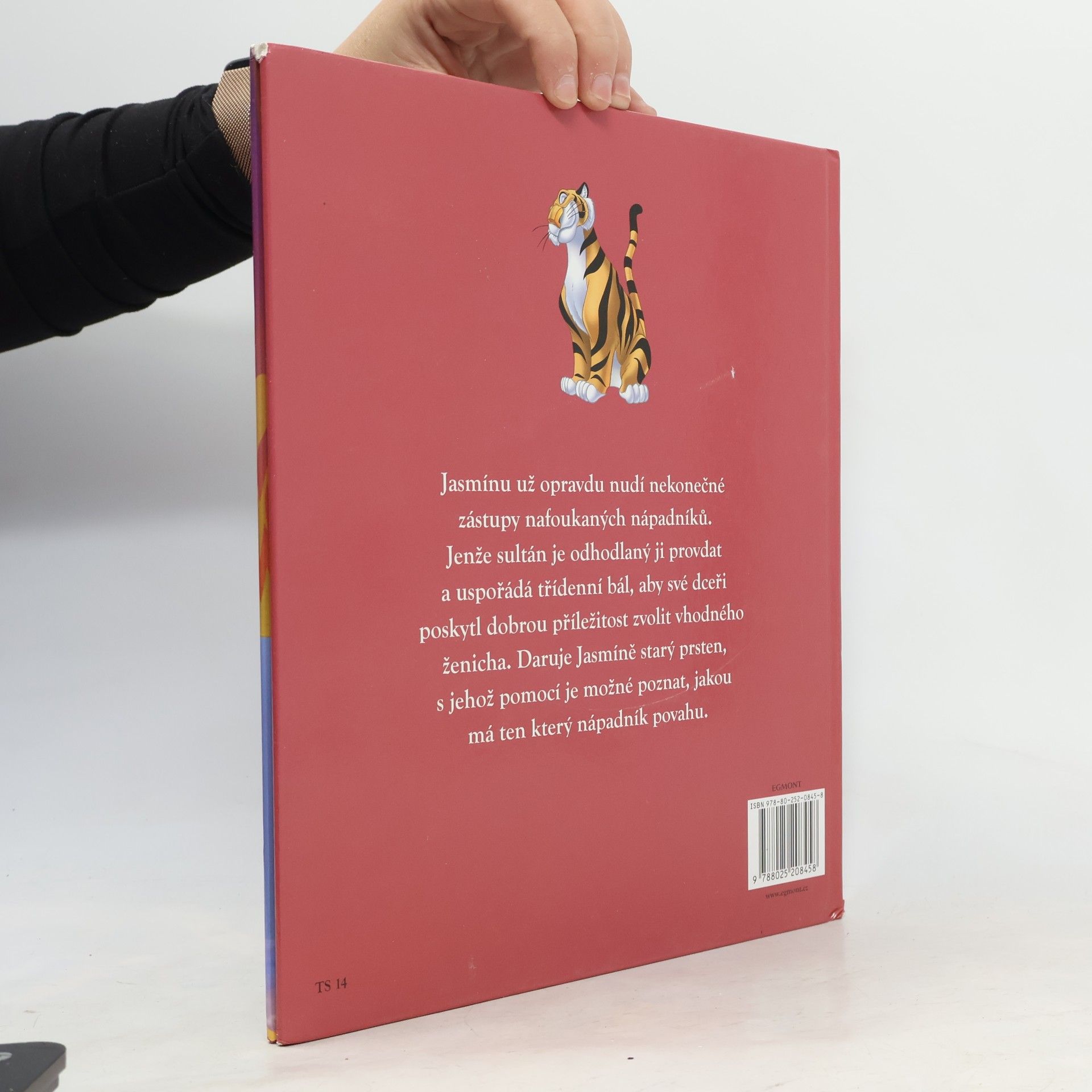 Autorenkollektiv Jasmína a třídenní bál