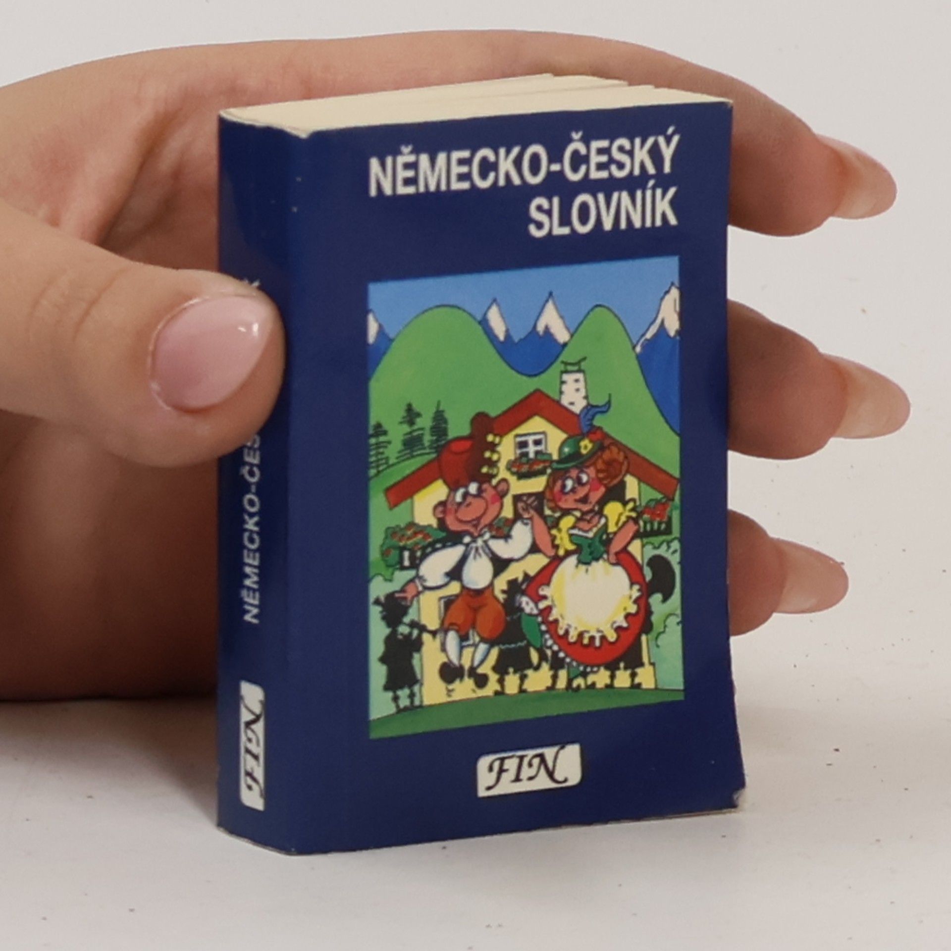Collectif d'auteurs Německo-český slovník