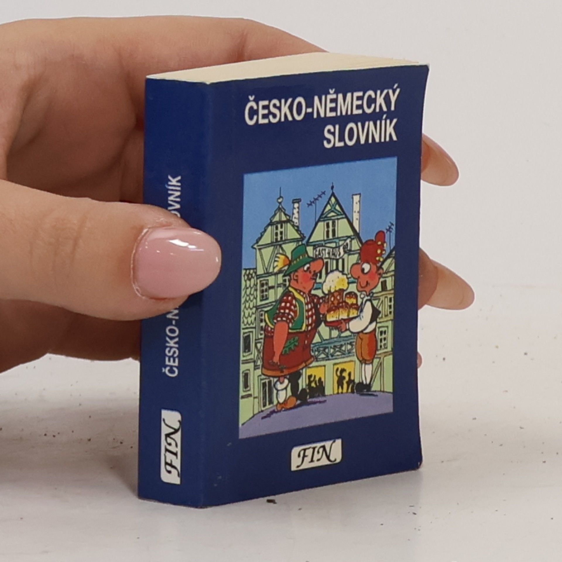 Collectif d'auteurs Česko-německý slovník