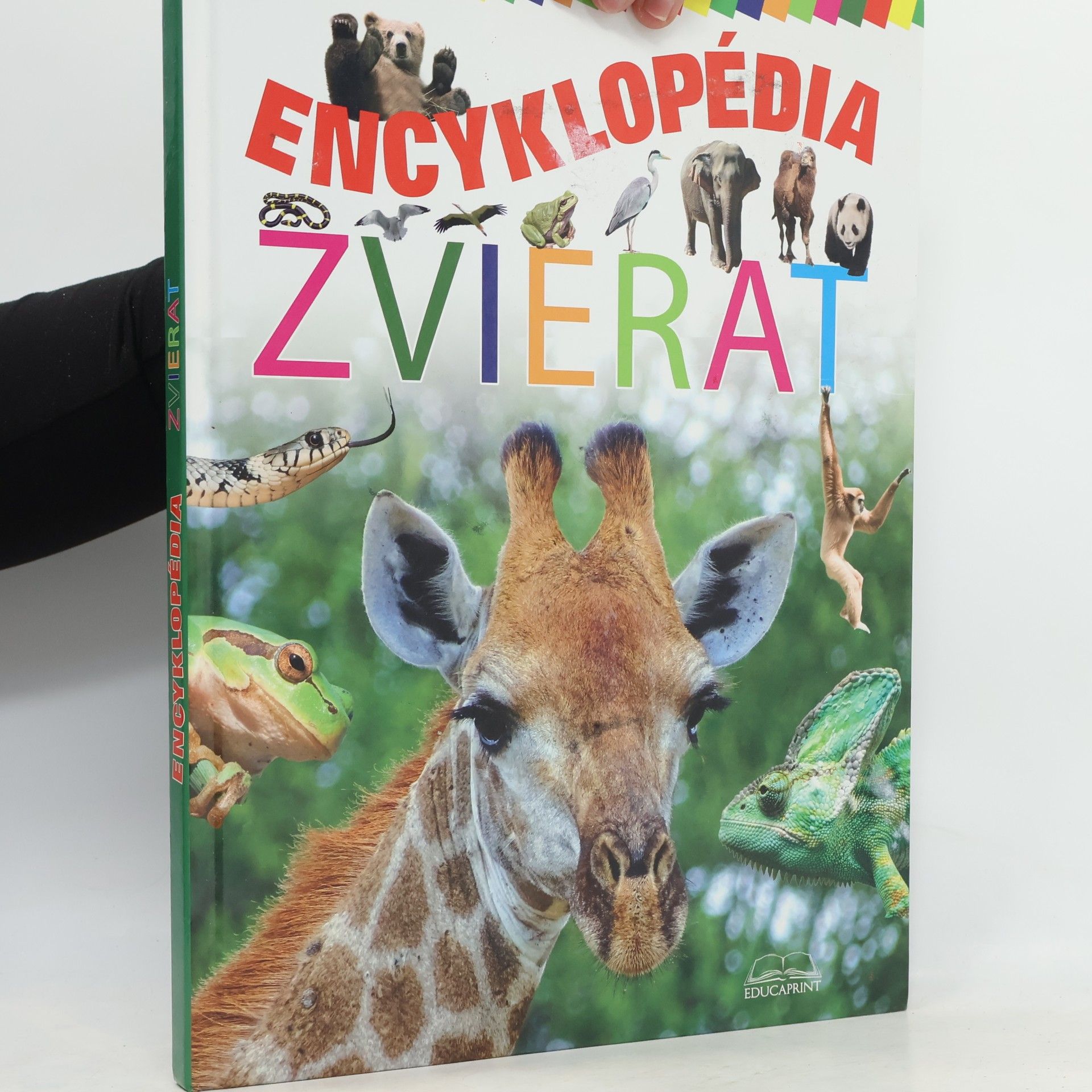 Autorenkollektiv Encyklopédia zvierat