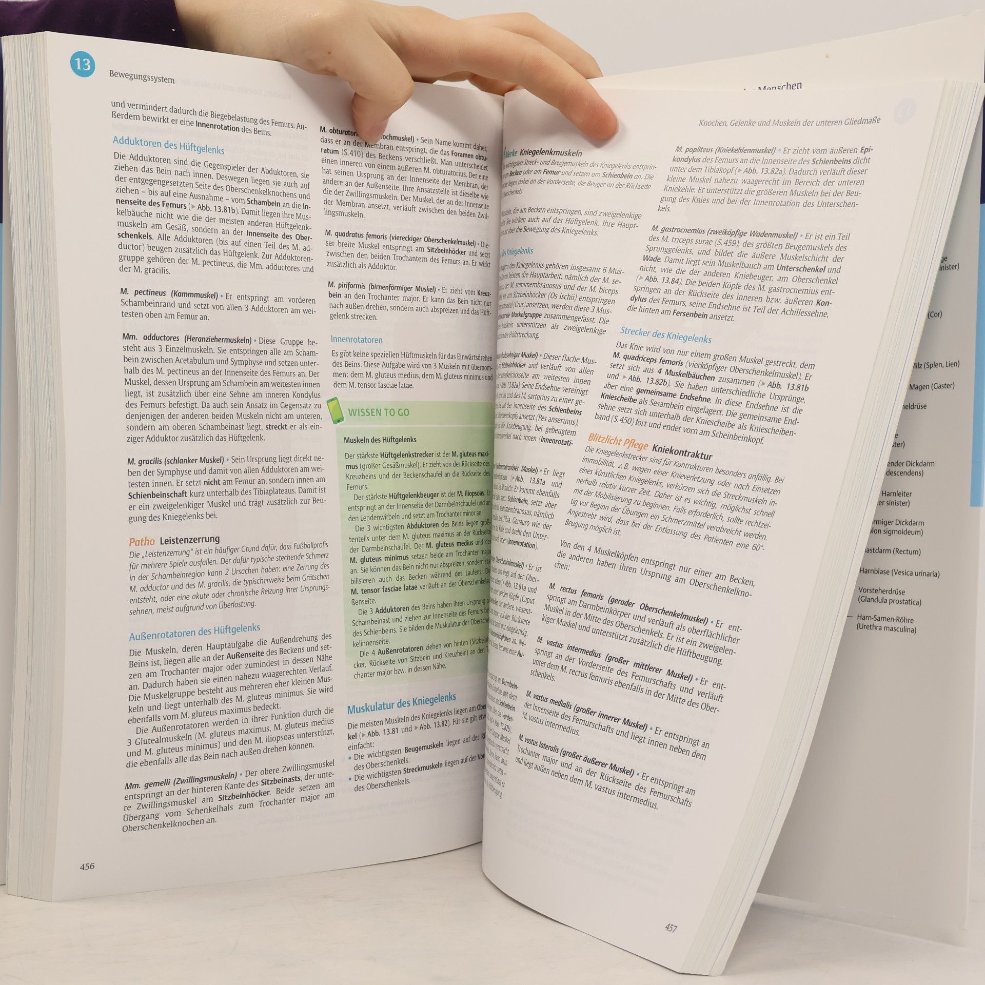 Autorenkollektiv I care Anatomie Physiologie