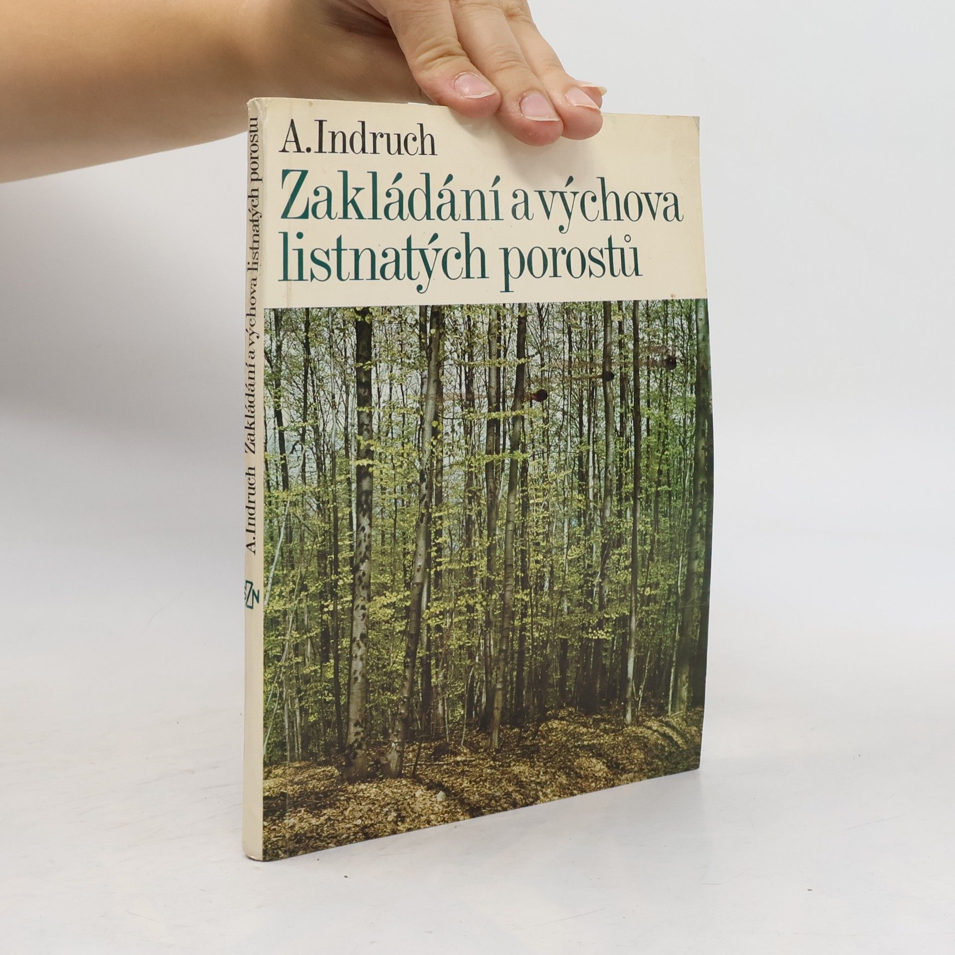 Zakládání a výchova listnatých porostů
