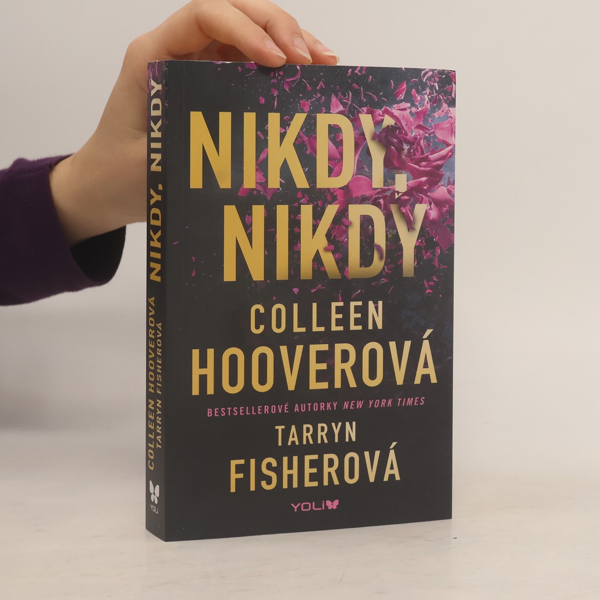 Colleen Hoover Nikdy, nikdy