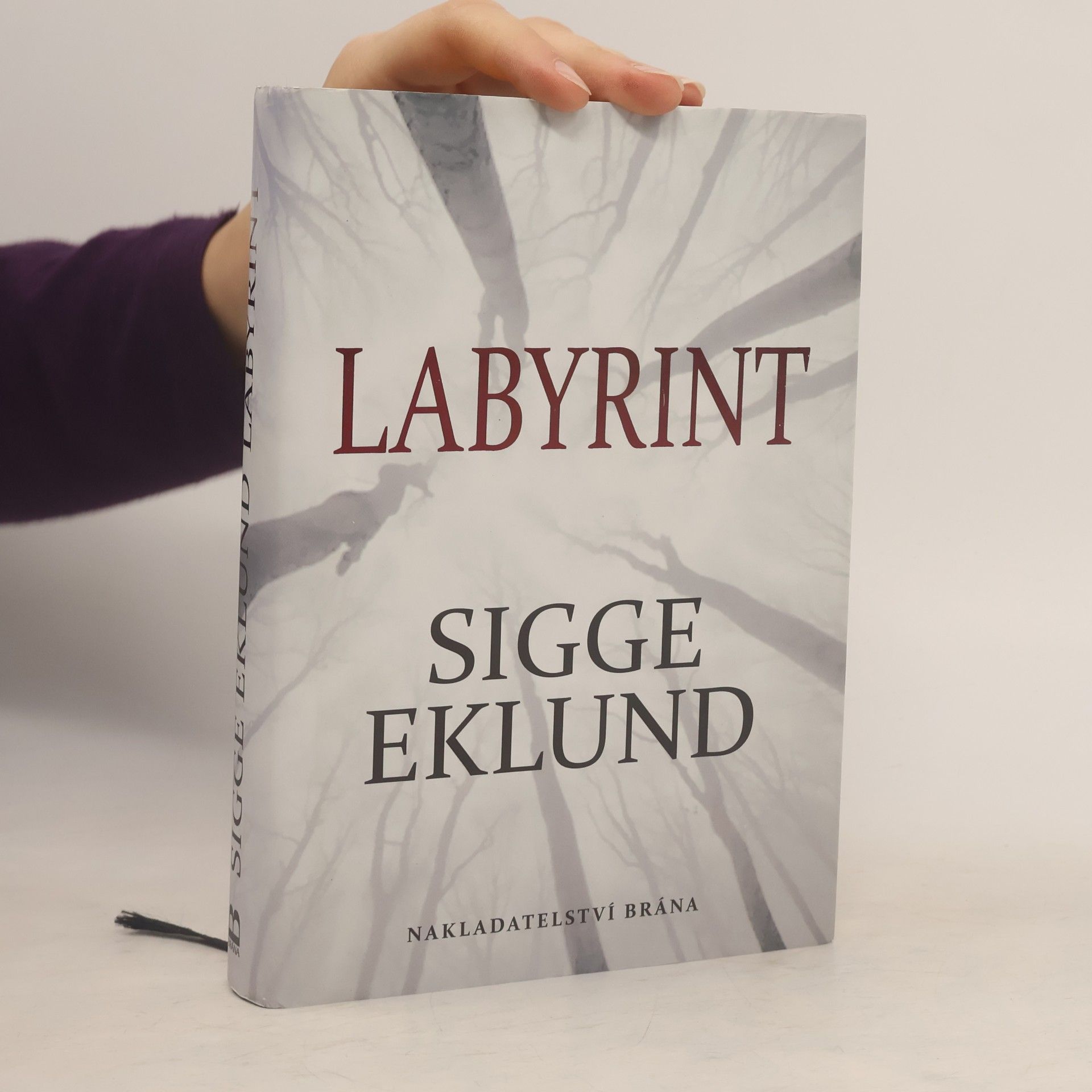 Sigge Eklund Labyrint
