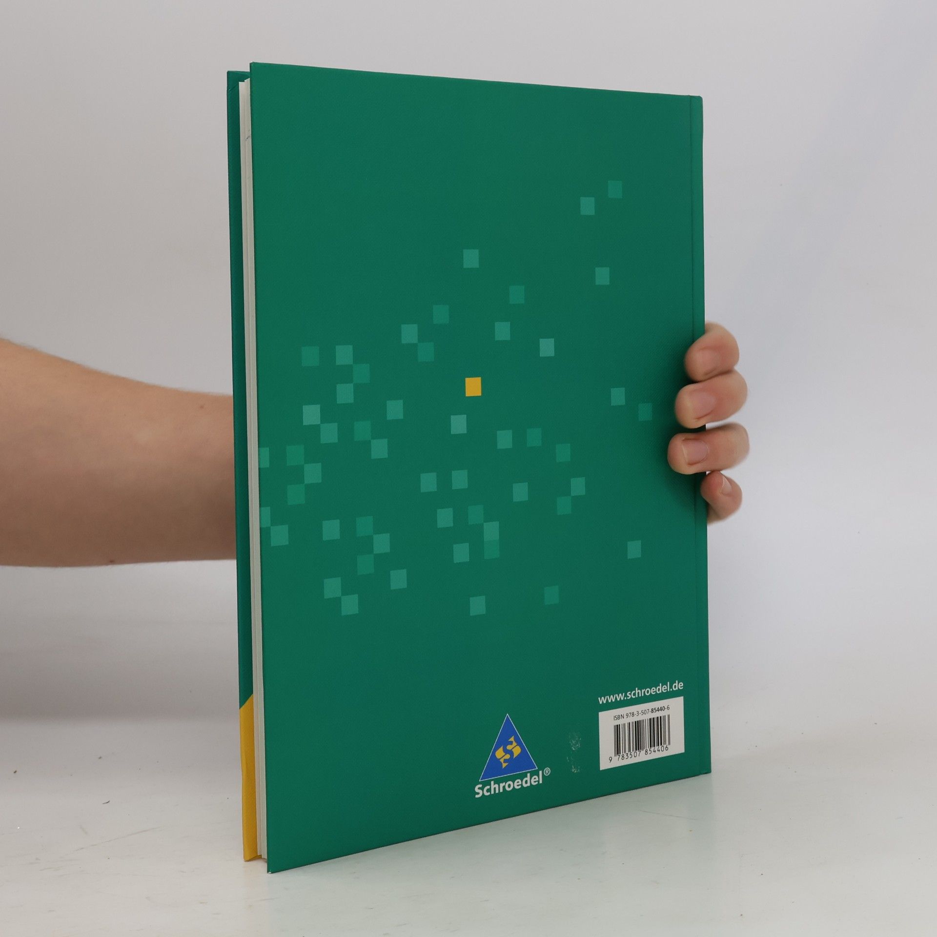 Mathematik Neue Wege SI / Mathematik Neue Wege SI - Ausgabe 2004 für in Baden-Württemberg: Ausgabe 2004 für in Baden-Württemberg / Arbeitsbuch 6 mit CD-ROM