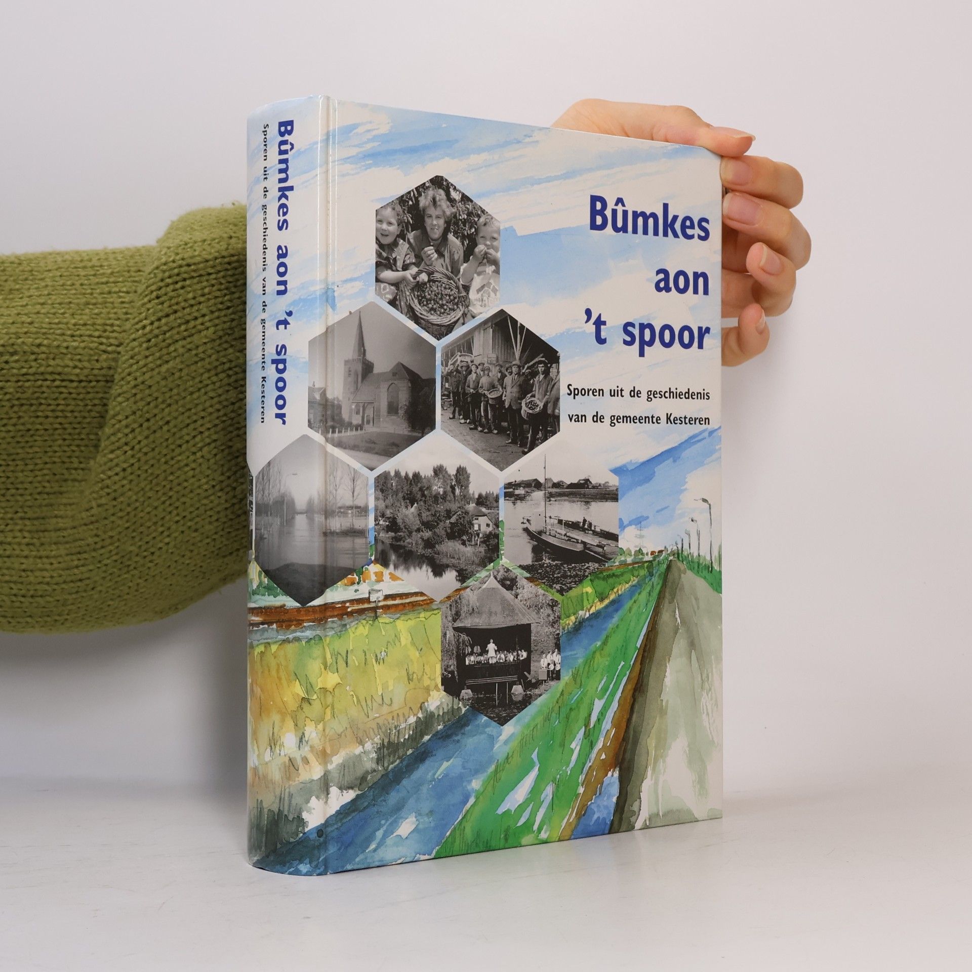 Rita Roodbeen-Heenck Bûmkes aon 't spoor