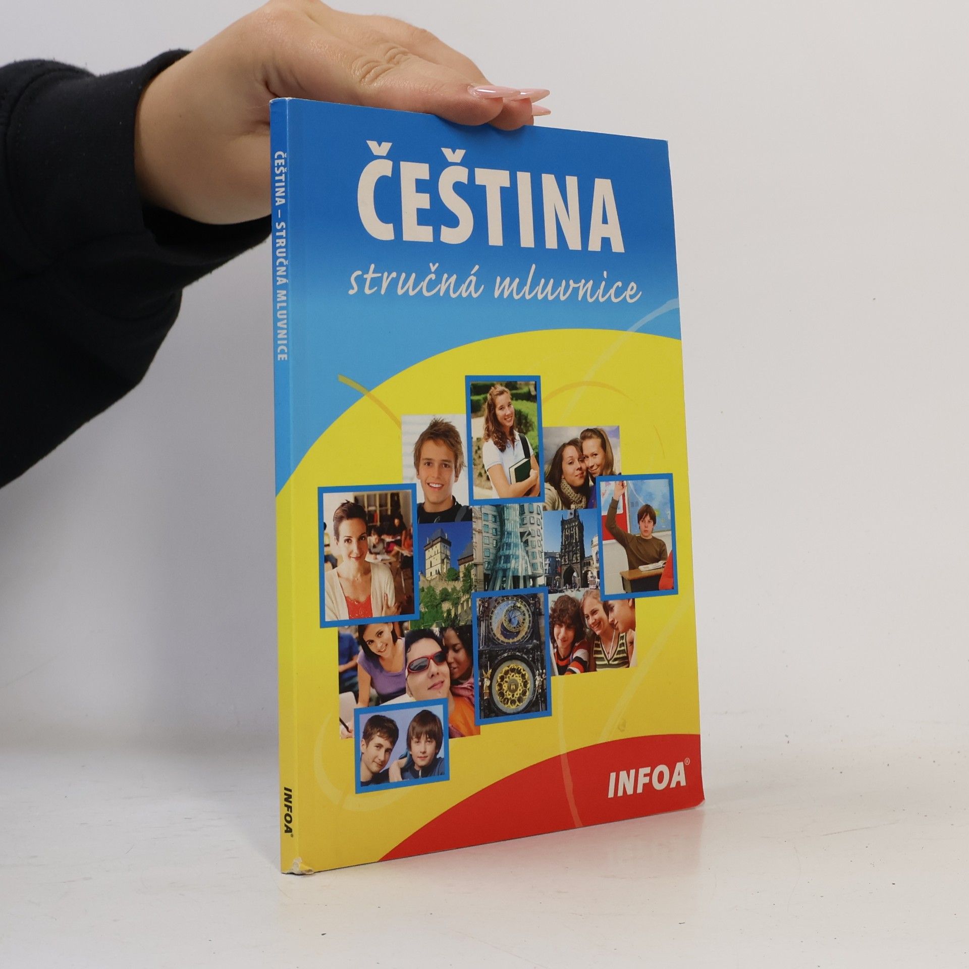 Čeština. Stručná mluvnice