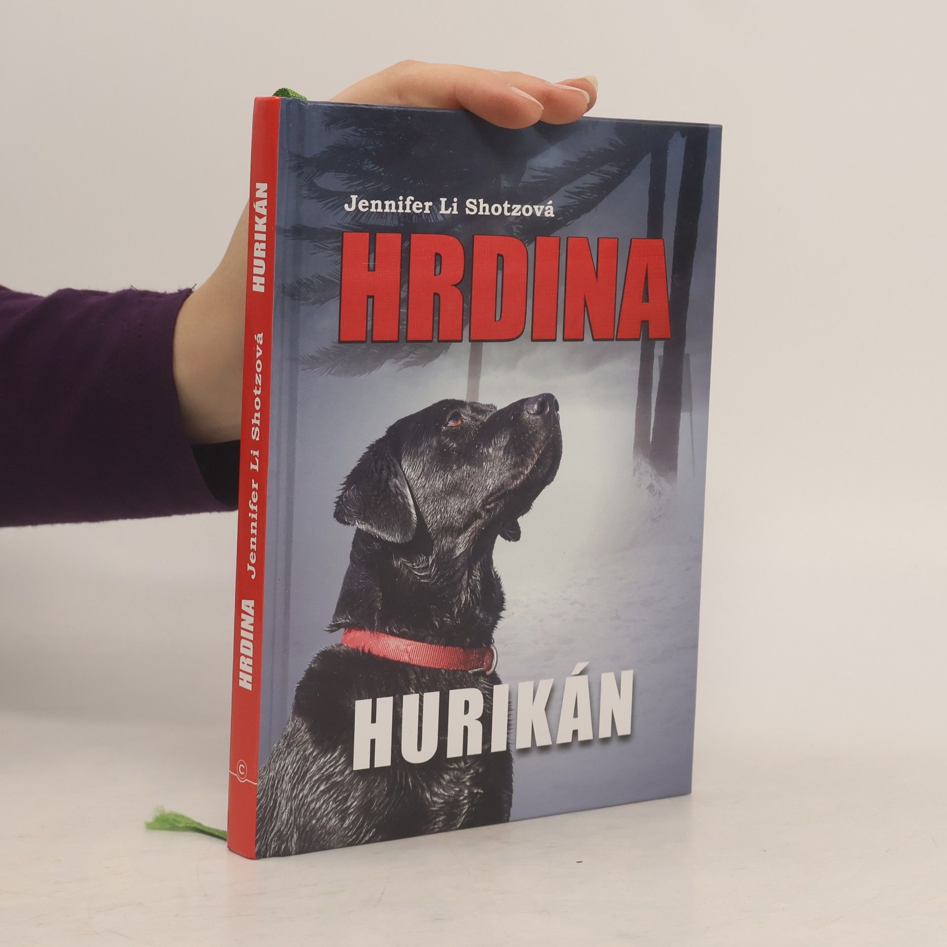 Hurikán