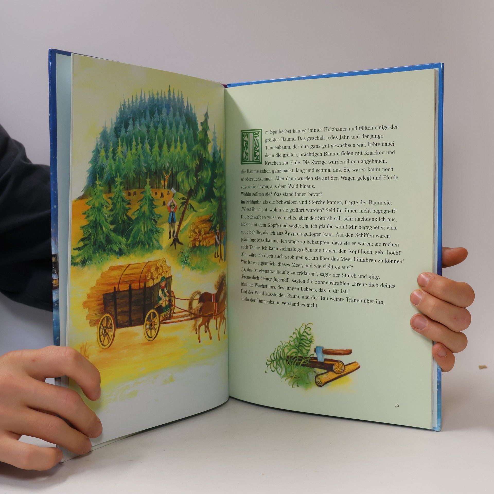 Hans-Christian Andersen Märchenklassiker zur Weihnachtszeit
