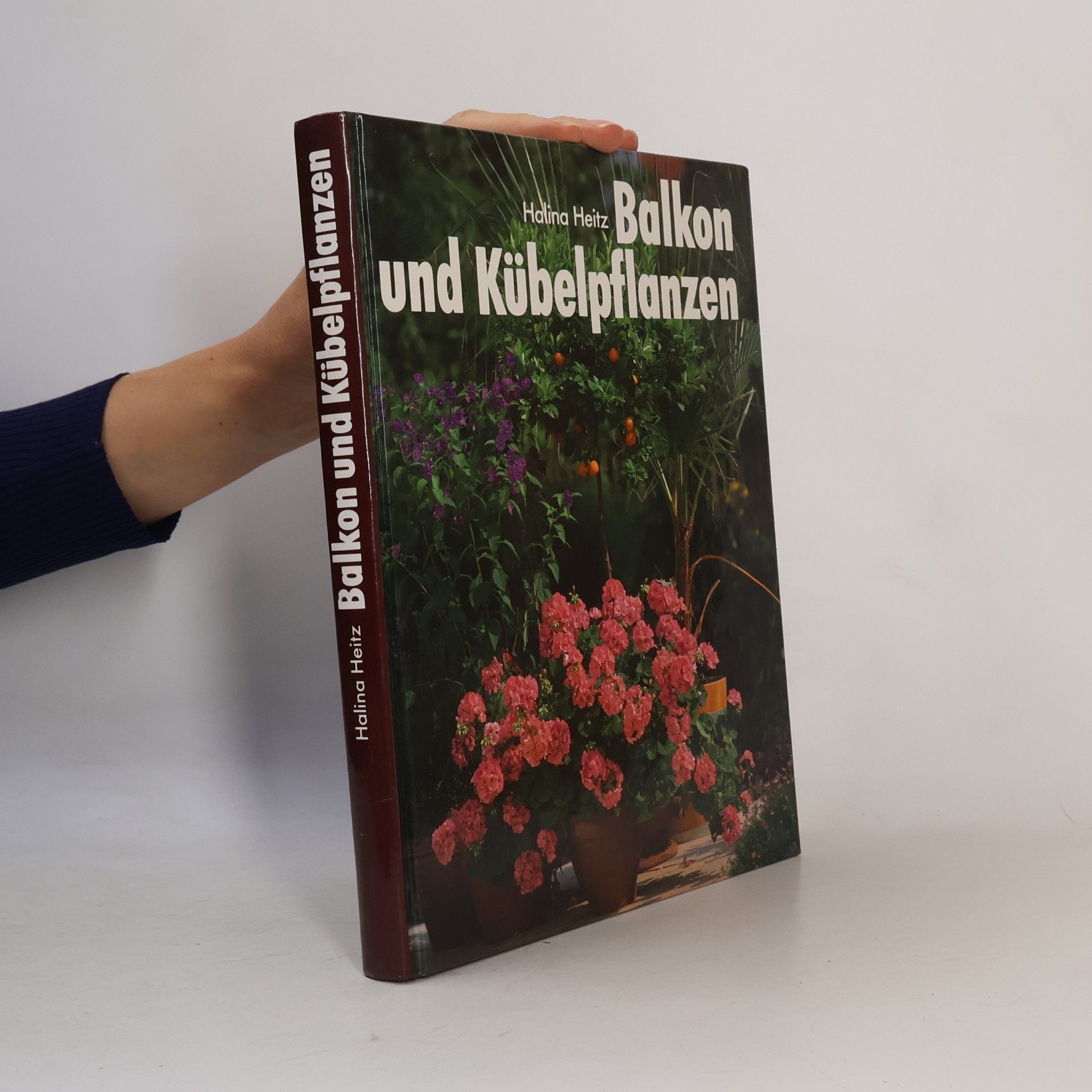 Halina Heitz Balkon und Kübelpflanzen