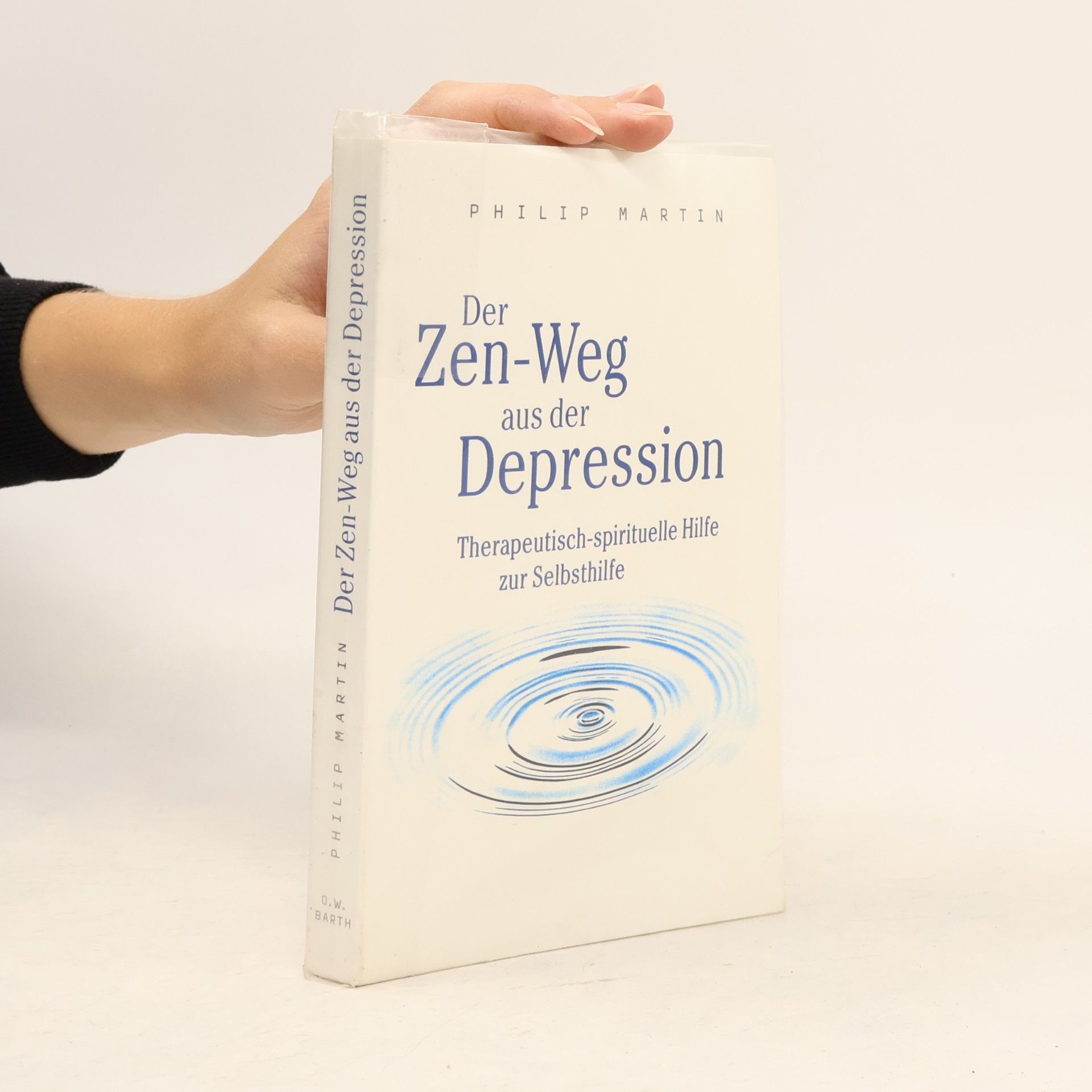 Philip Martin Der Zen-Weg aus der Depression