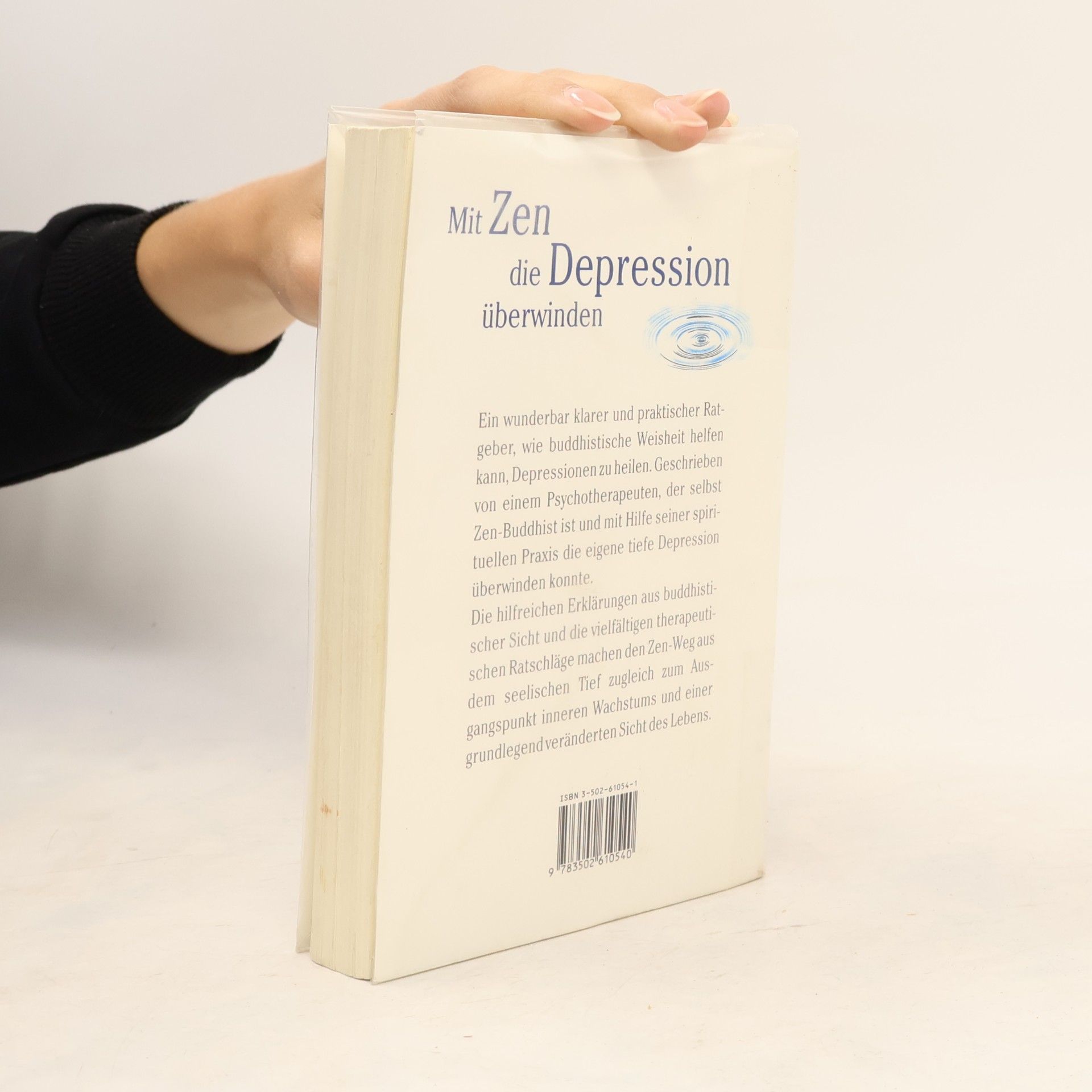 Philip Martin Der Zen-Weg aus der Depression