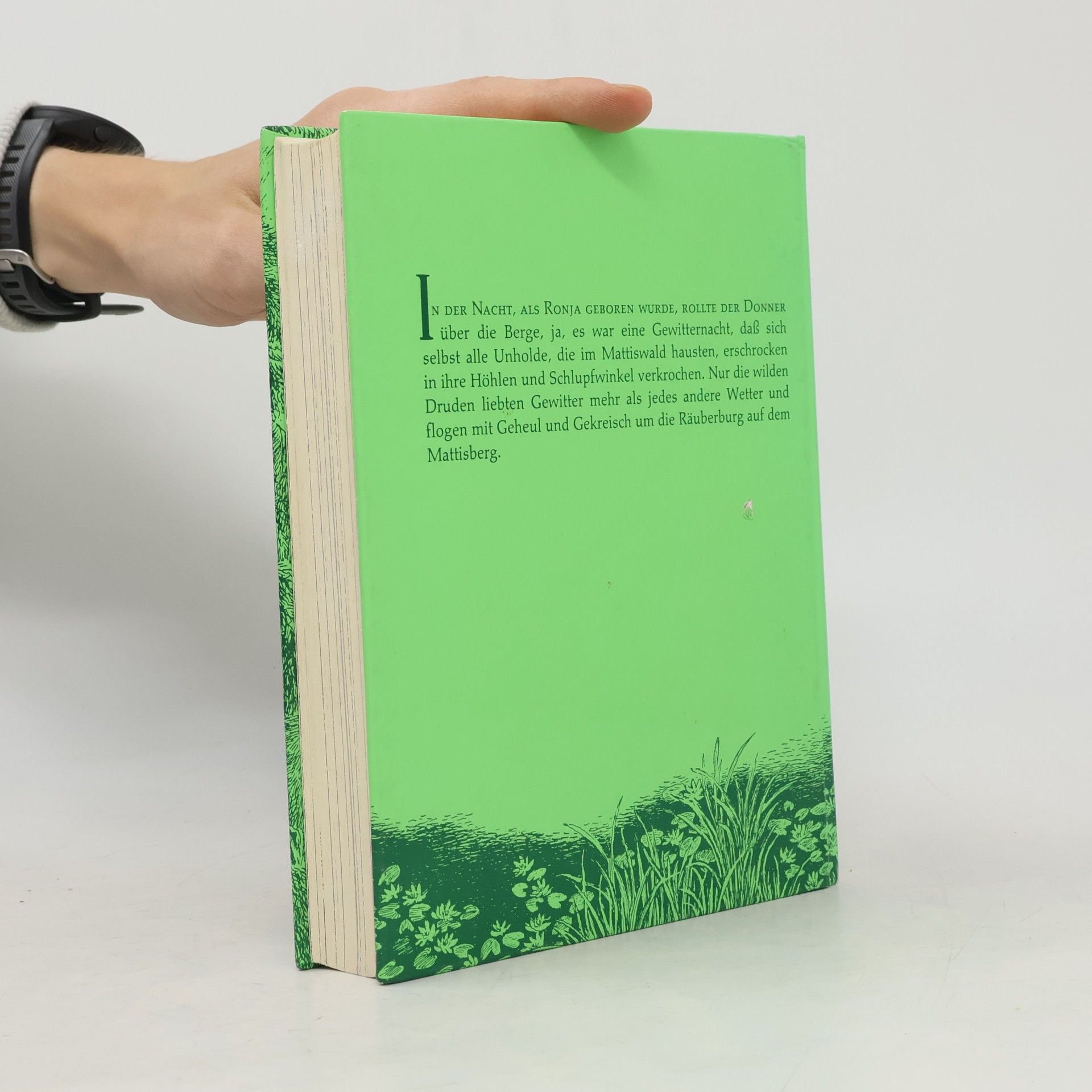 Astrid Lindgren Ronja Räubertochter