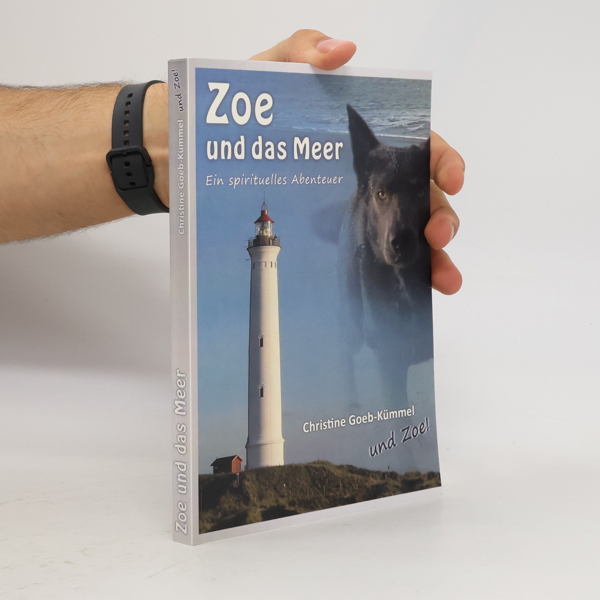 Christine Goeb-Kümmel Zoe und das Meer