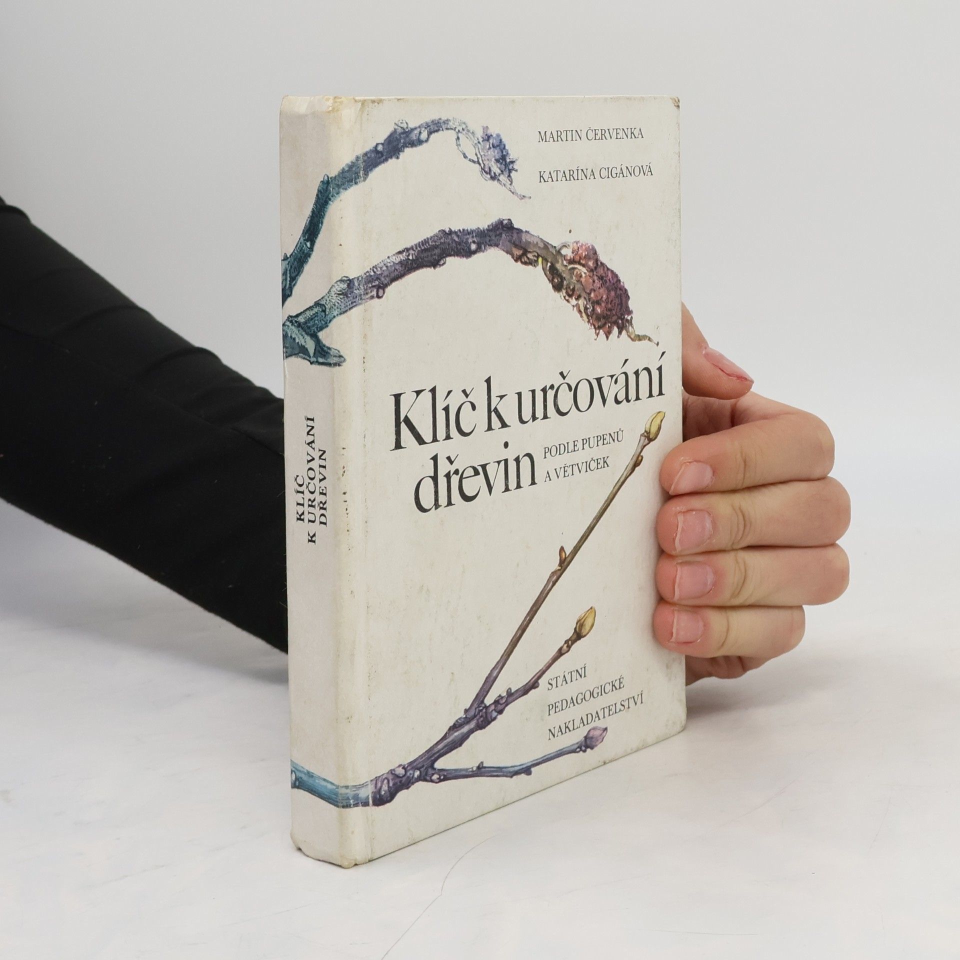 Martin Červenka Klíč k určování dřevin