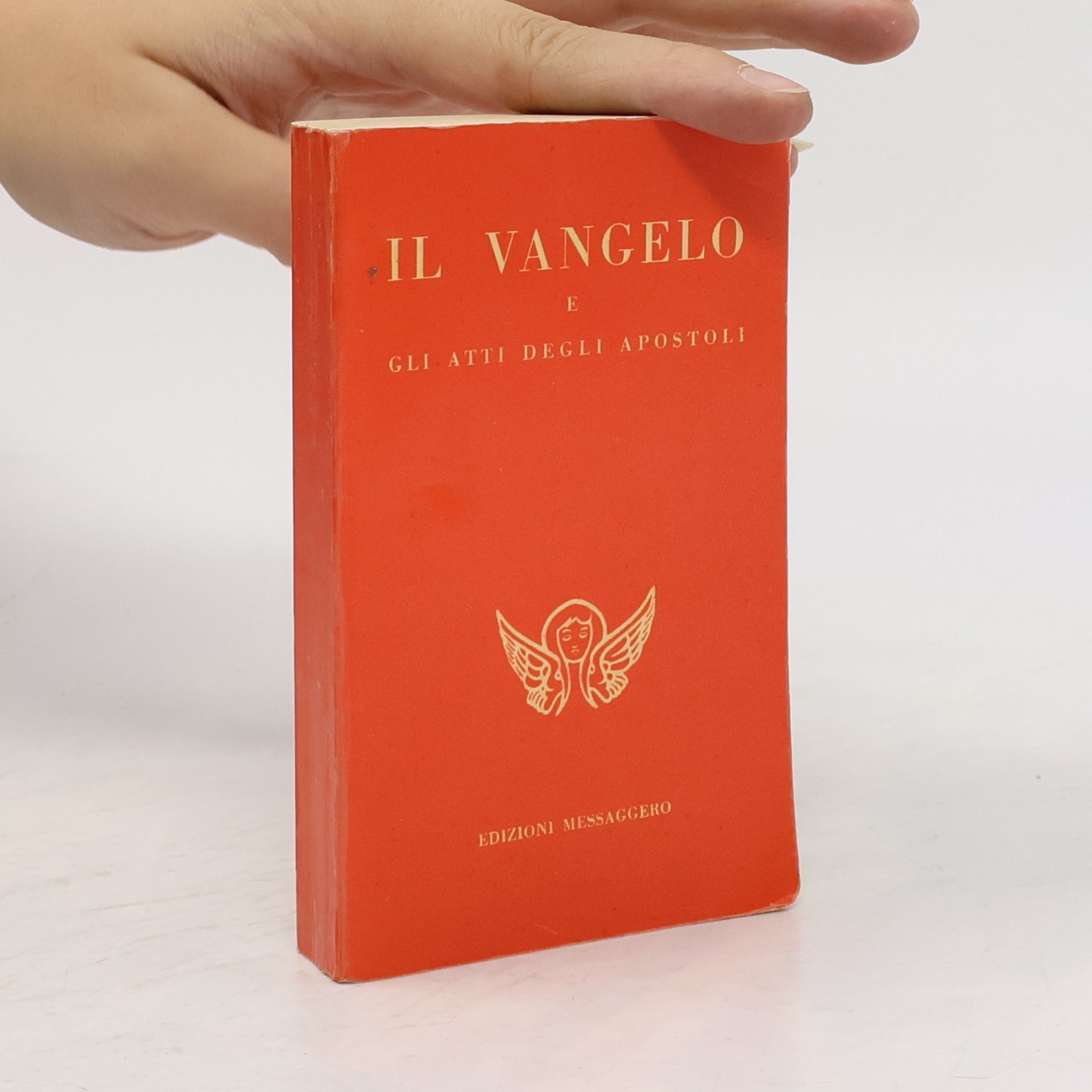 Kolektív autorov Il vangelo e gli atti degli apostoli