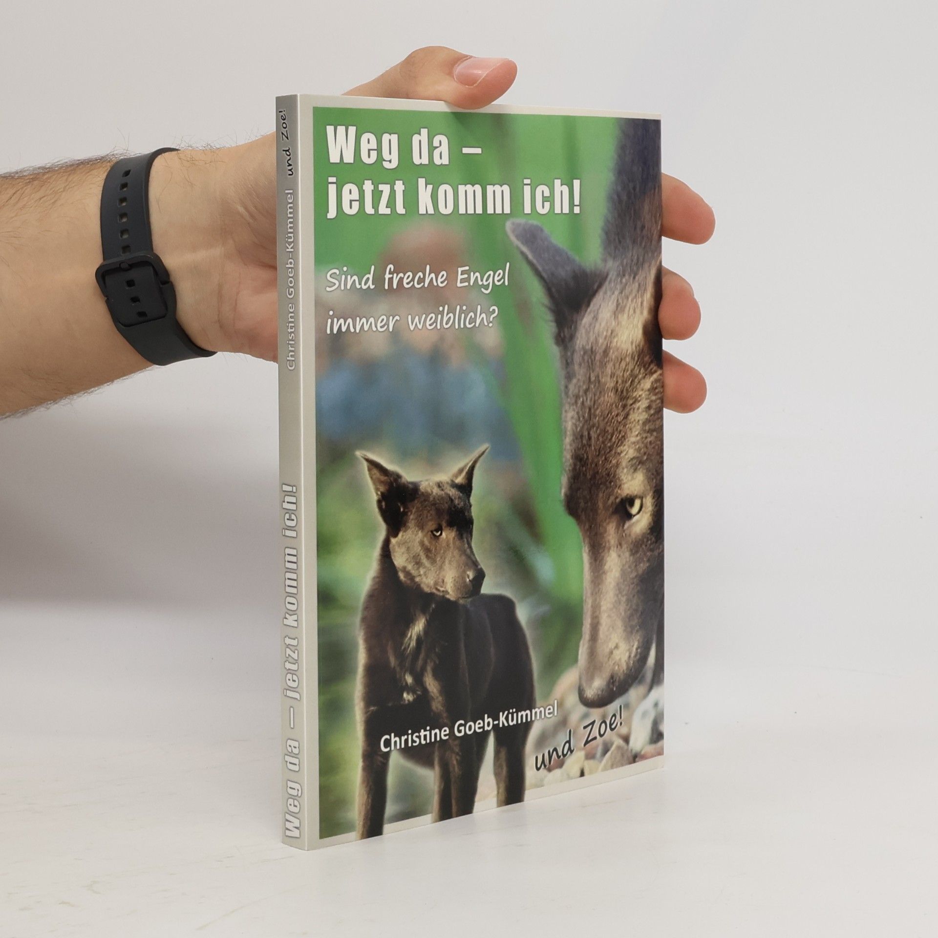 Christine Goeb-Kümmel Weg da jetzt komm ich!