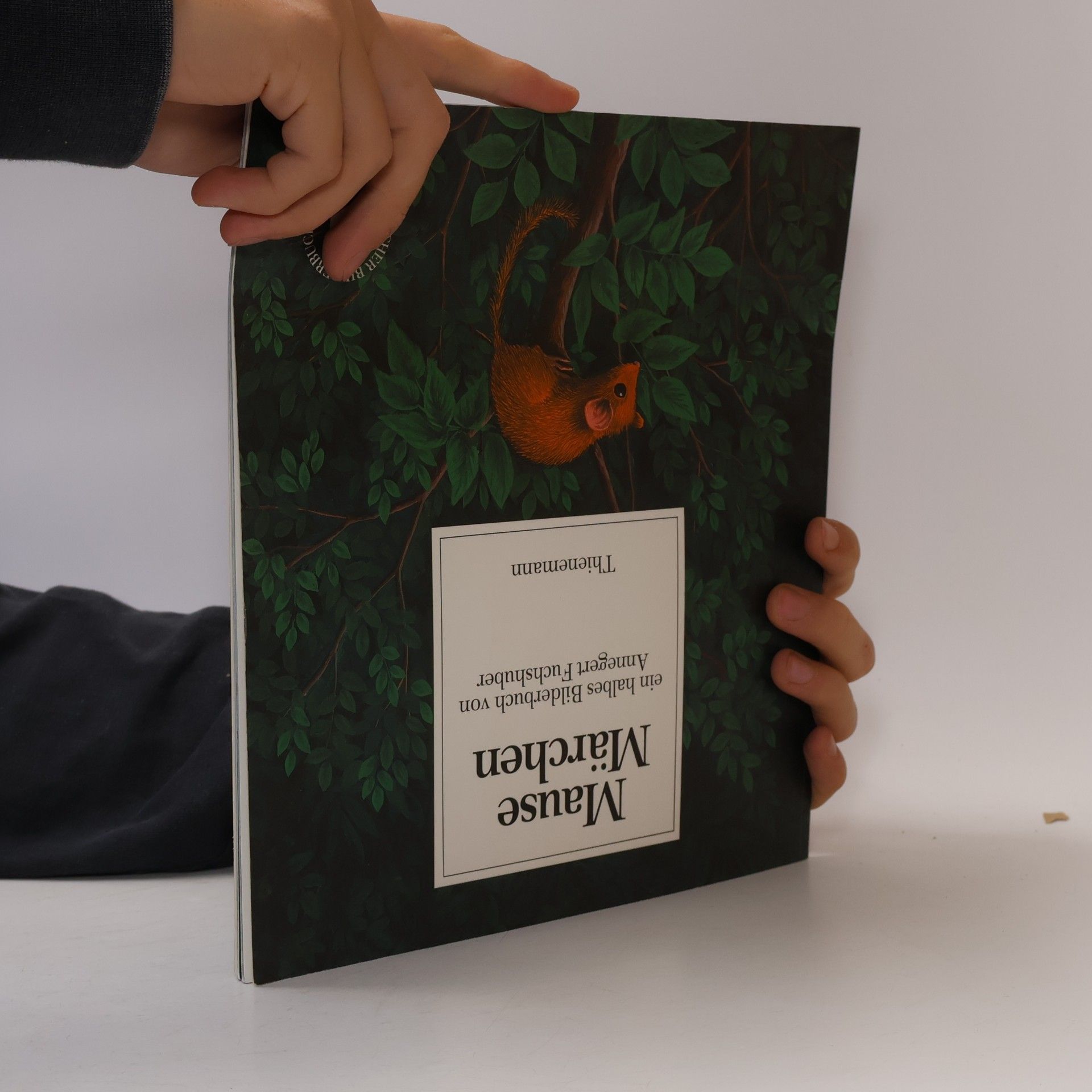 Annegert Fuchshuber Riesen Geschichte