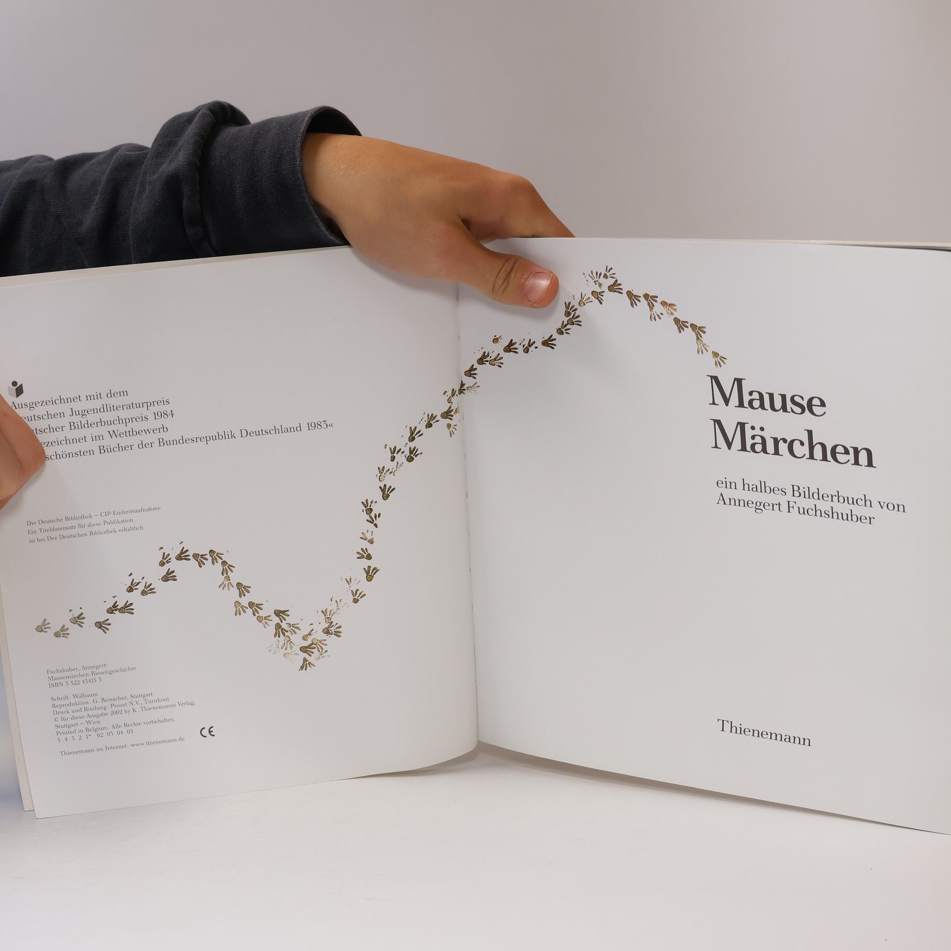 Annegert Fuchshuber Riesen Geschichte