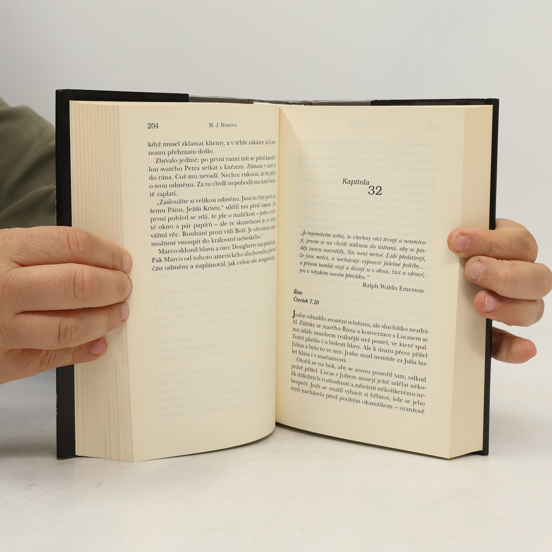 M. J. Rose Reinkarnovaný : kameny minulých životů
