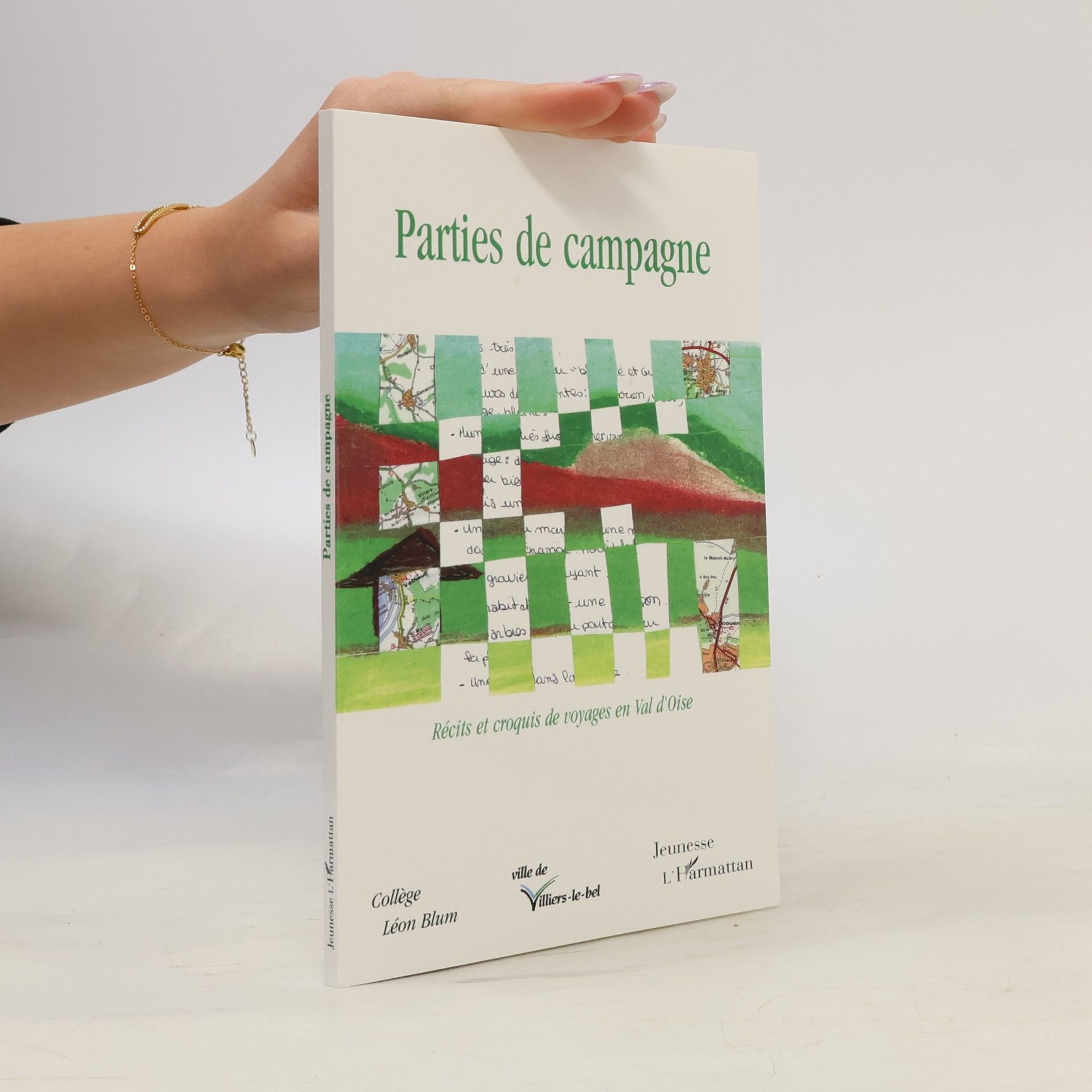 Sylvie Montlahuc Parties de campagne