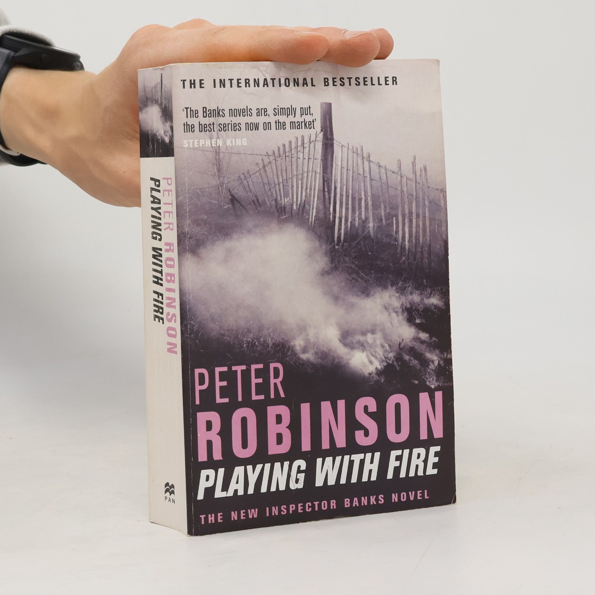 Peter Robinson Playing with Fire