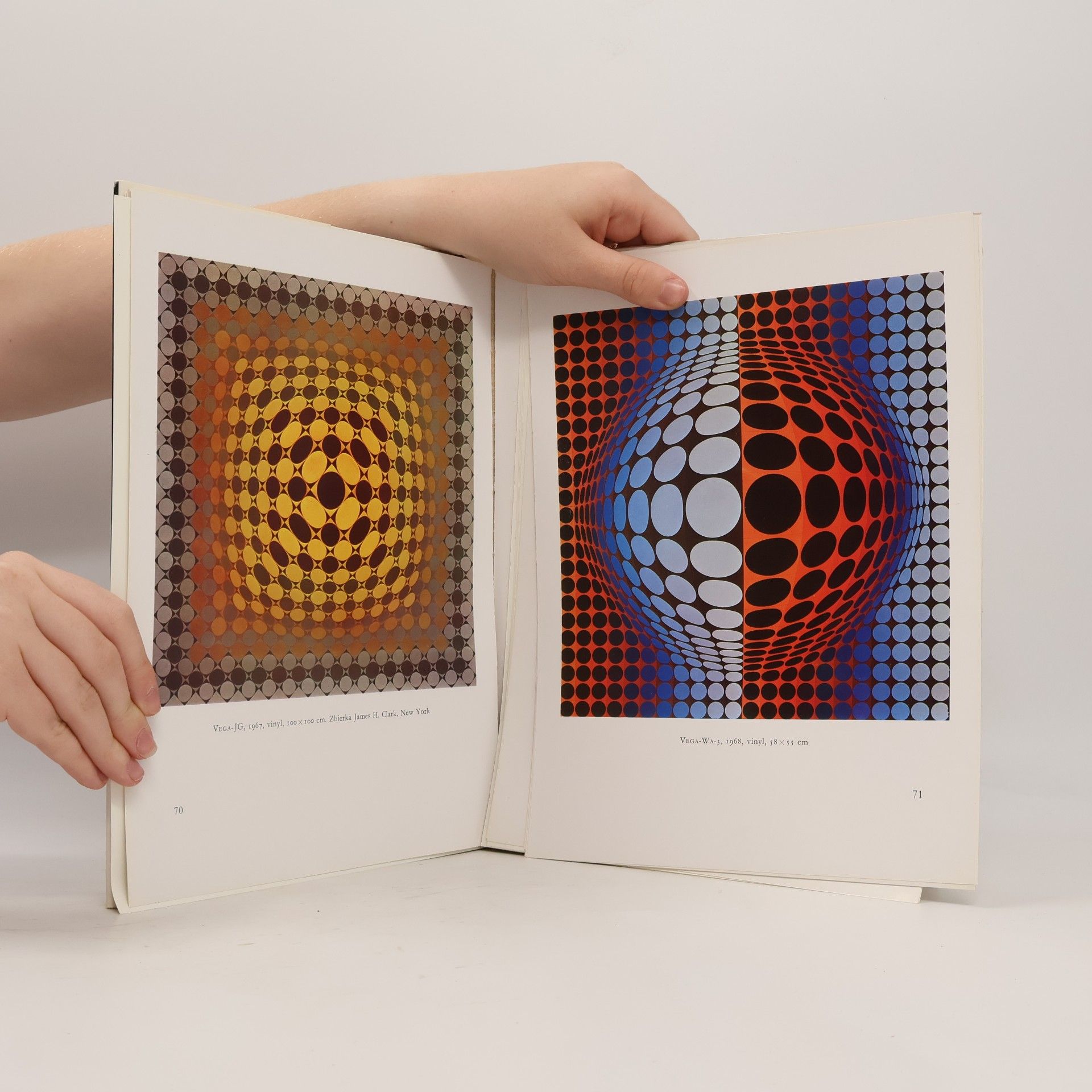 Gaston Diehl Vasarely