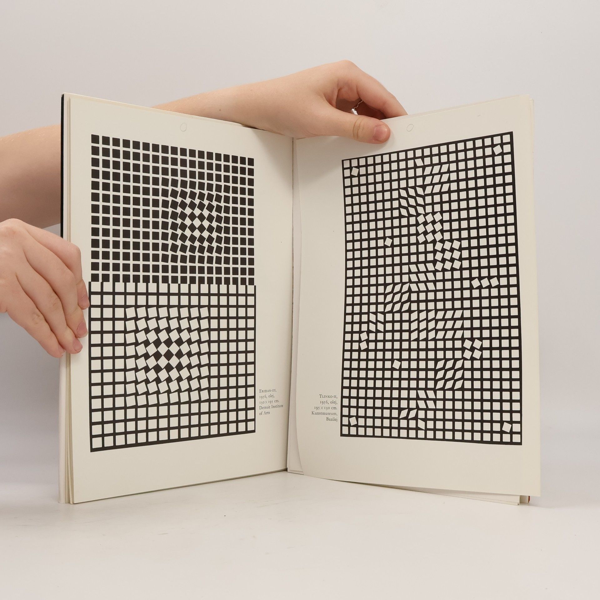 Gaston Diehl Vasarely