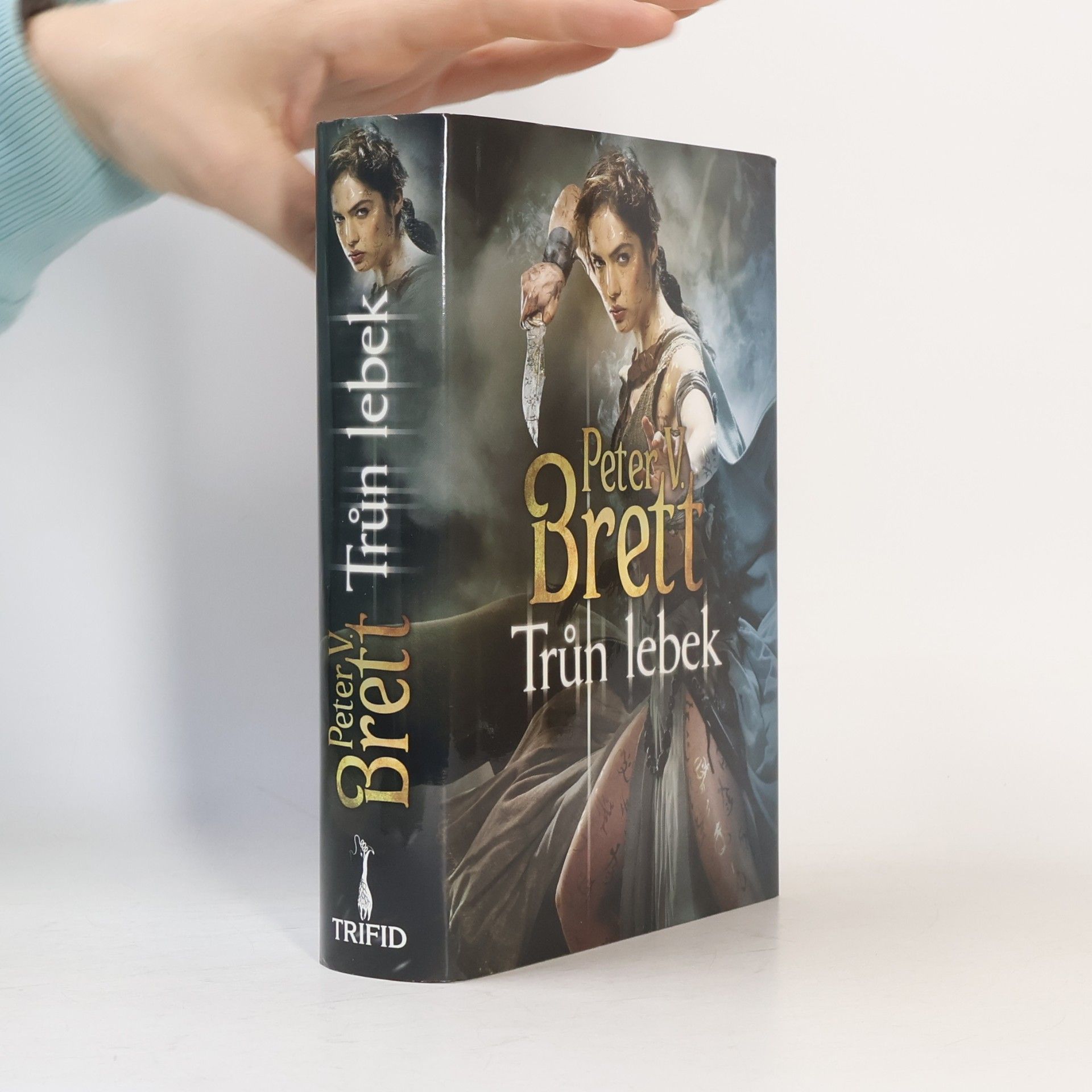 Peter V. Brett Trůn lebek