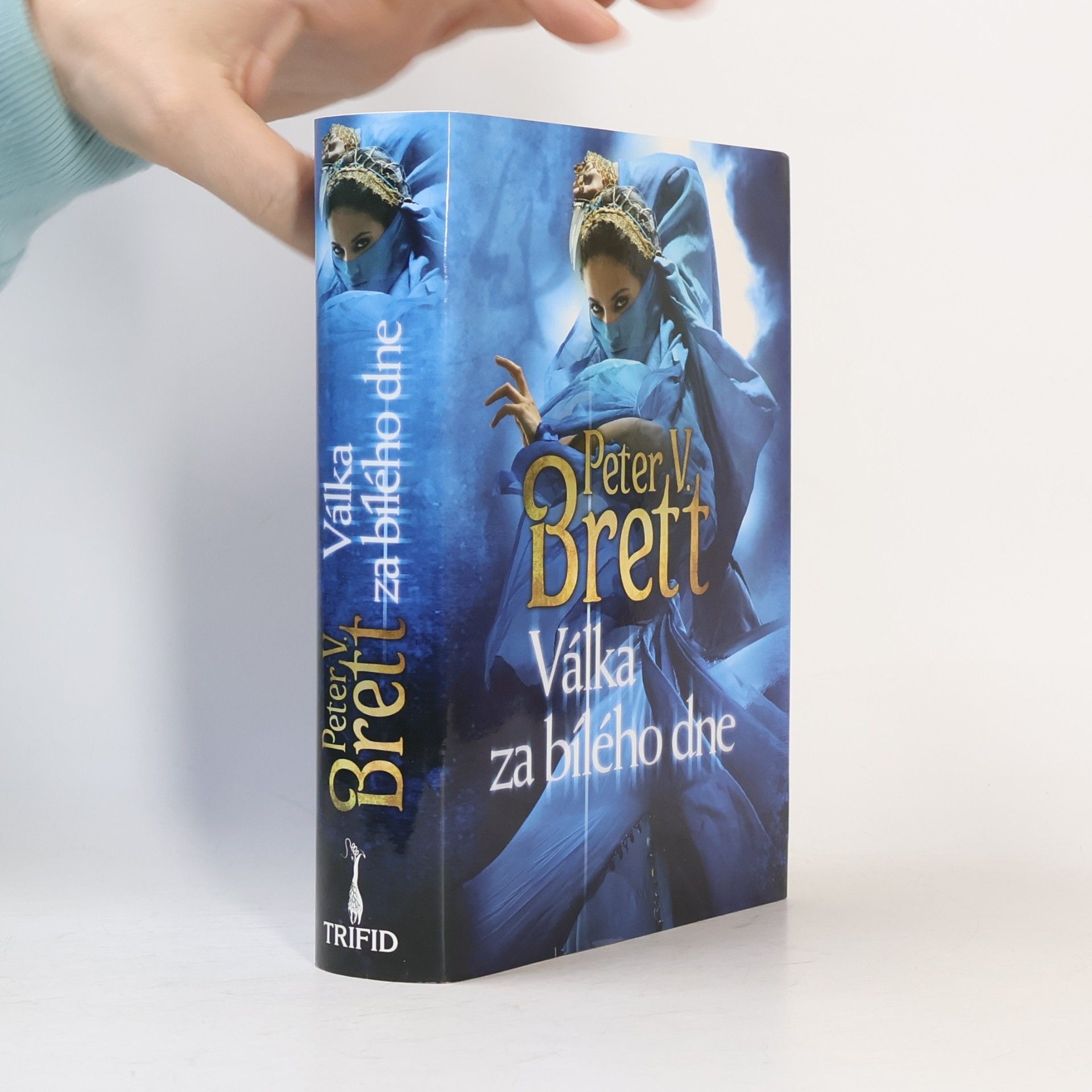 Peter V. Brett Válka za bílého dne
