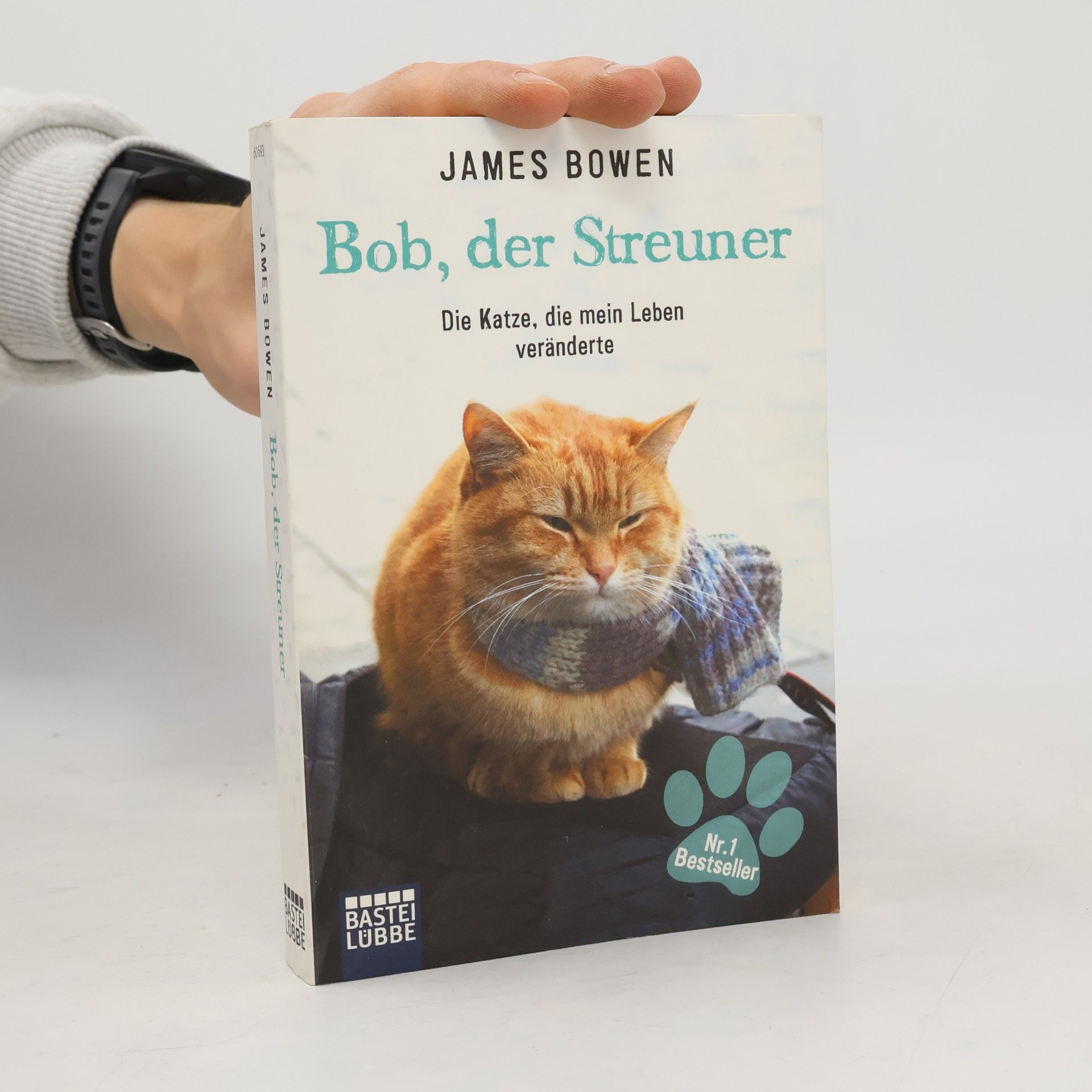 James Bowen Bob, der Streuner