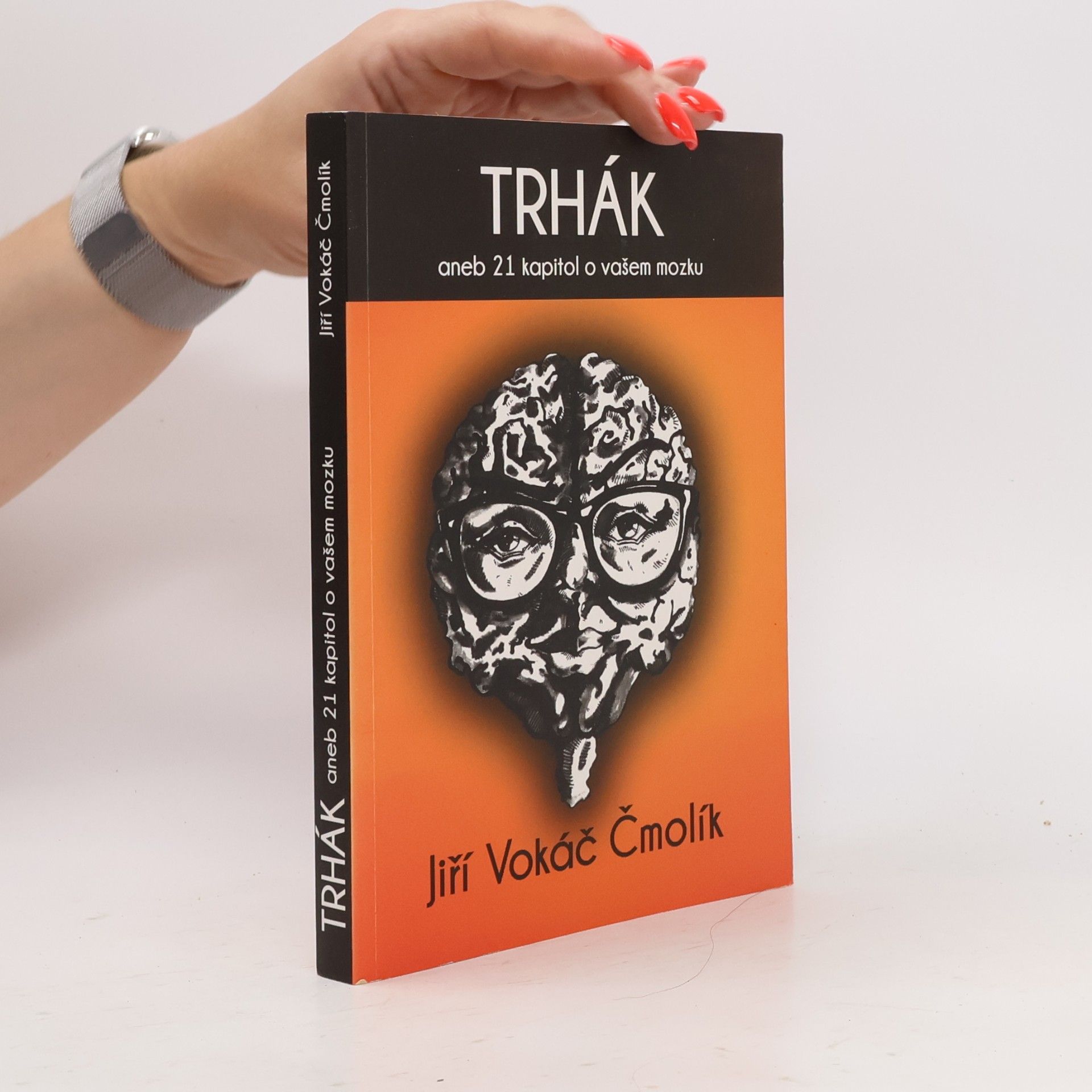 Trhák aneb 21 kapitol o vašem mozku