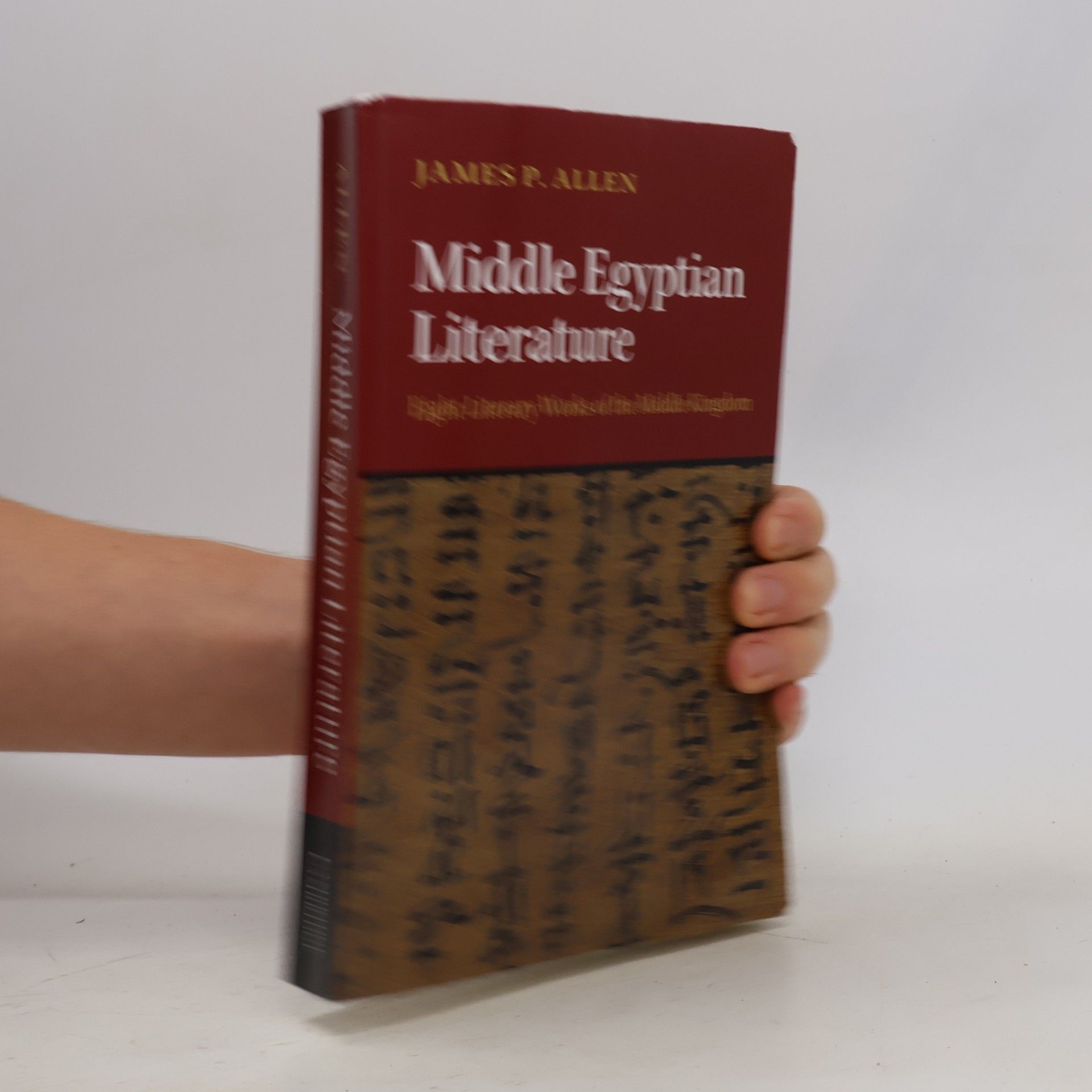 James Allen Middle Egyptian Literature