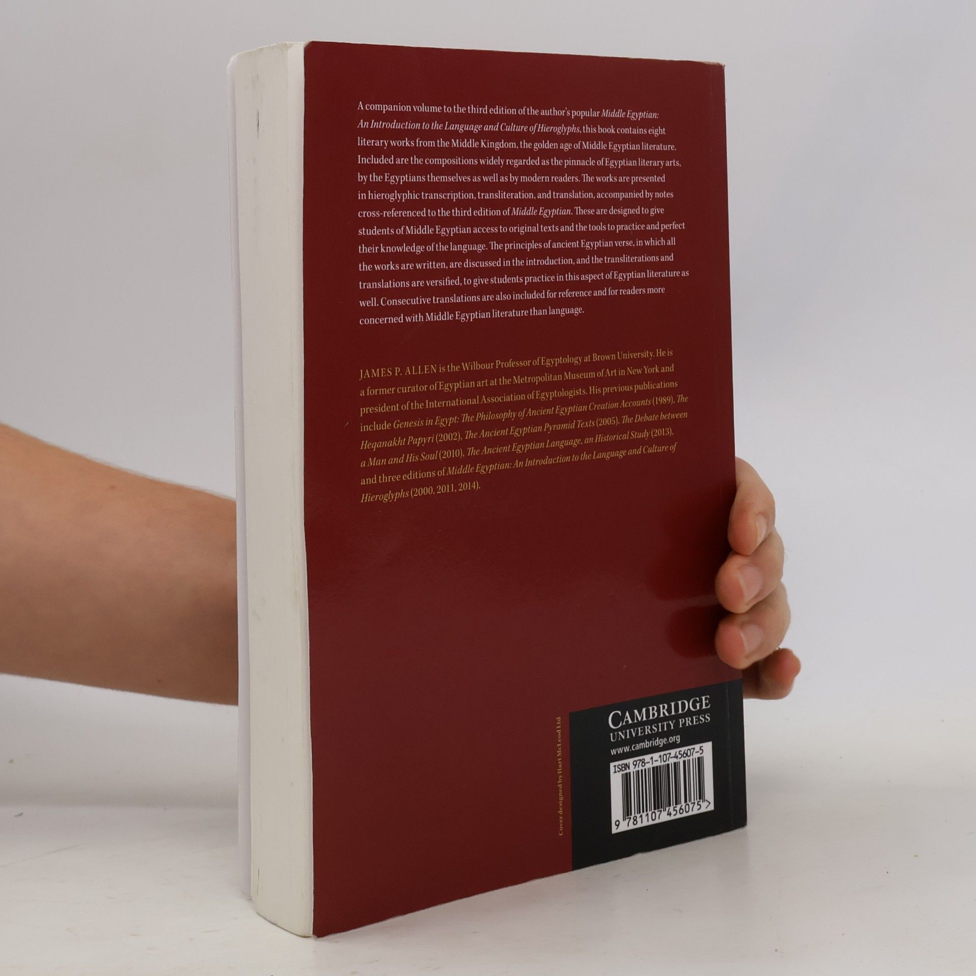 James Allen Middle Egyptian Literature