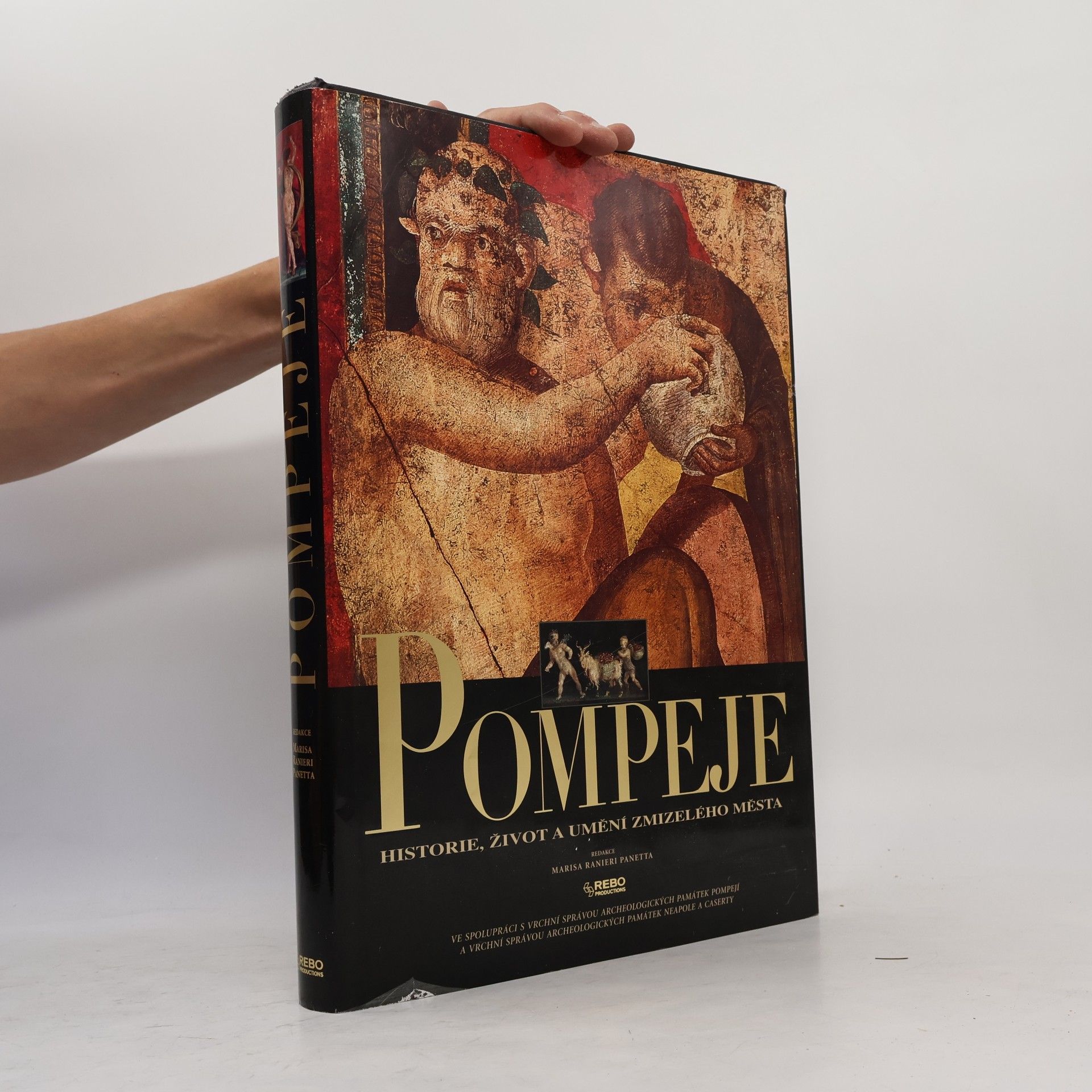 Araldo De Luca Pompeje: Historie, život a umění zmizelého města