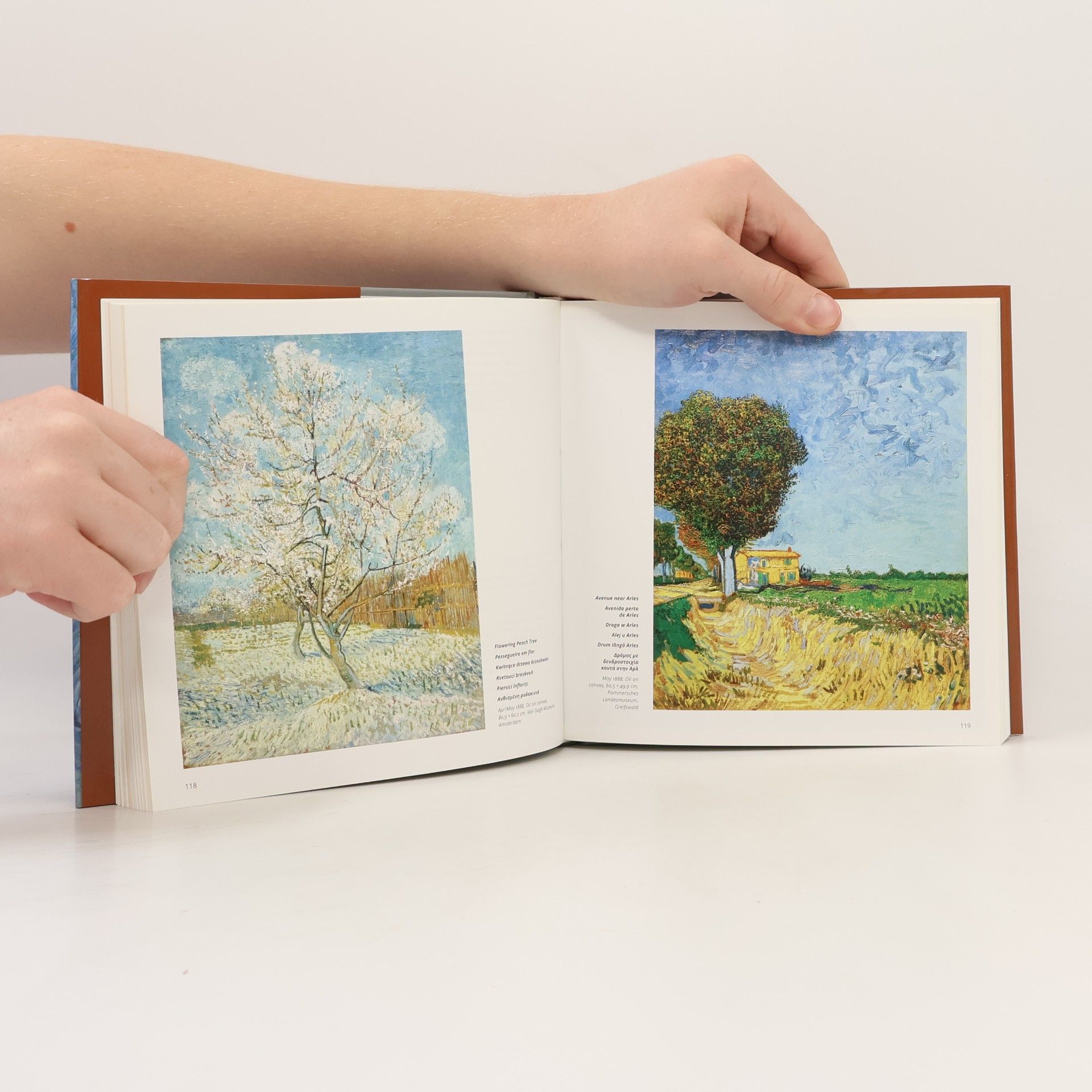 Olaf Mextorf Van Gogh