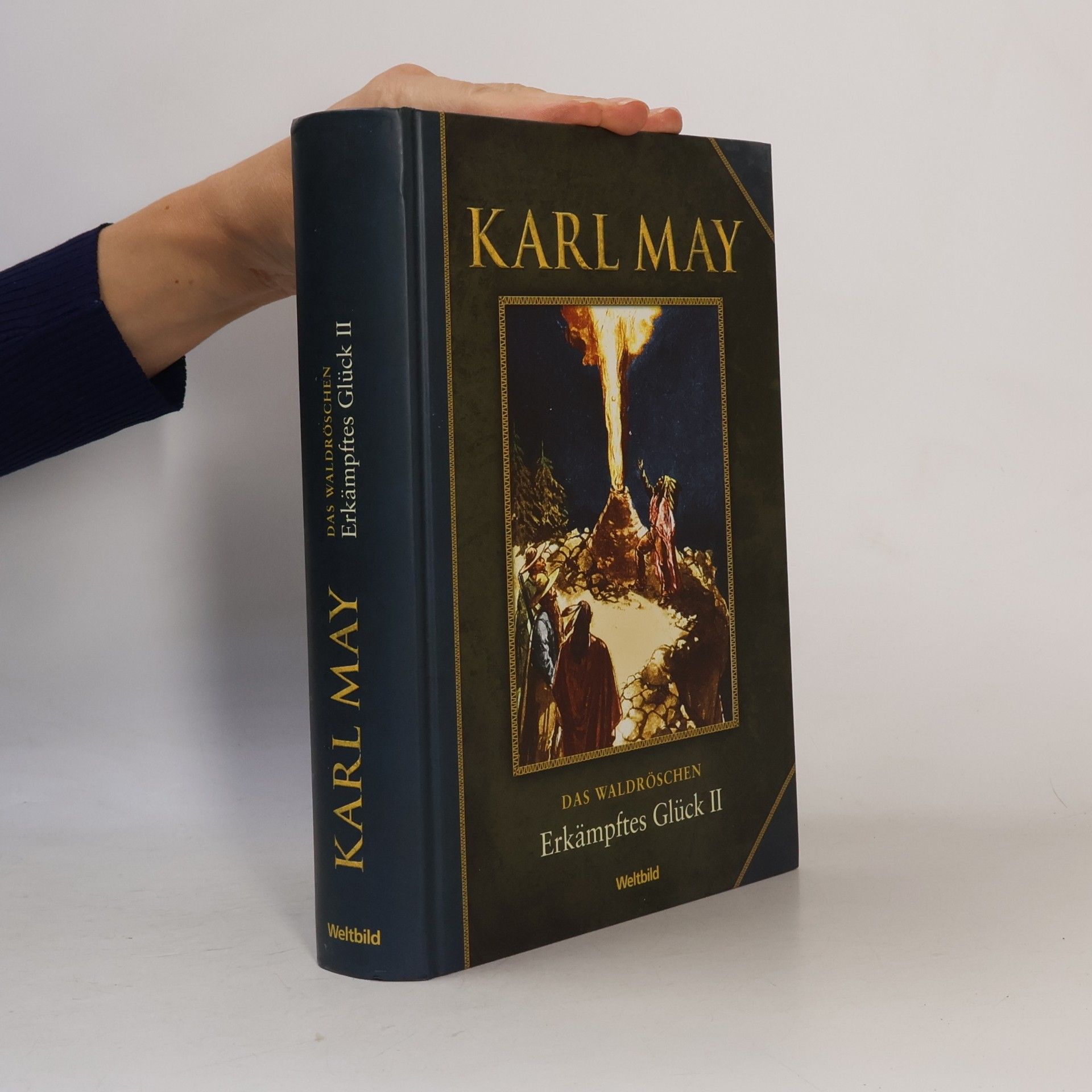 Karl May Erkämpftes Glück II.