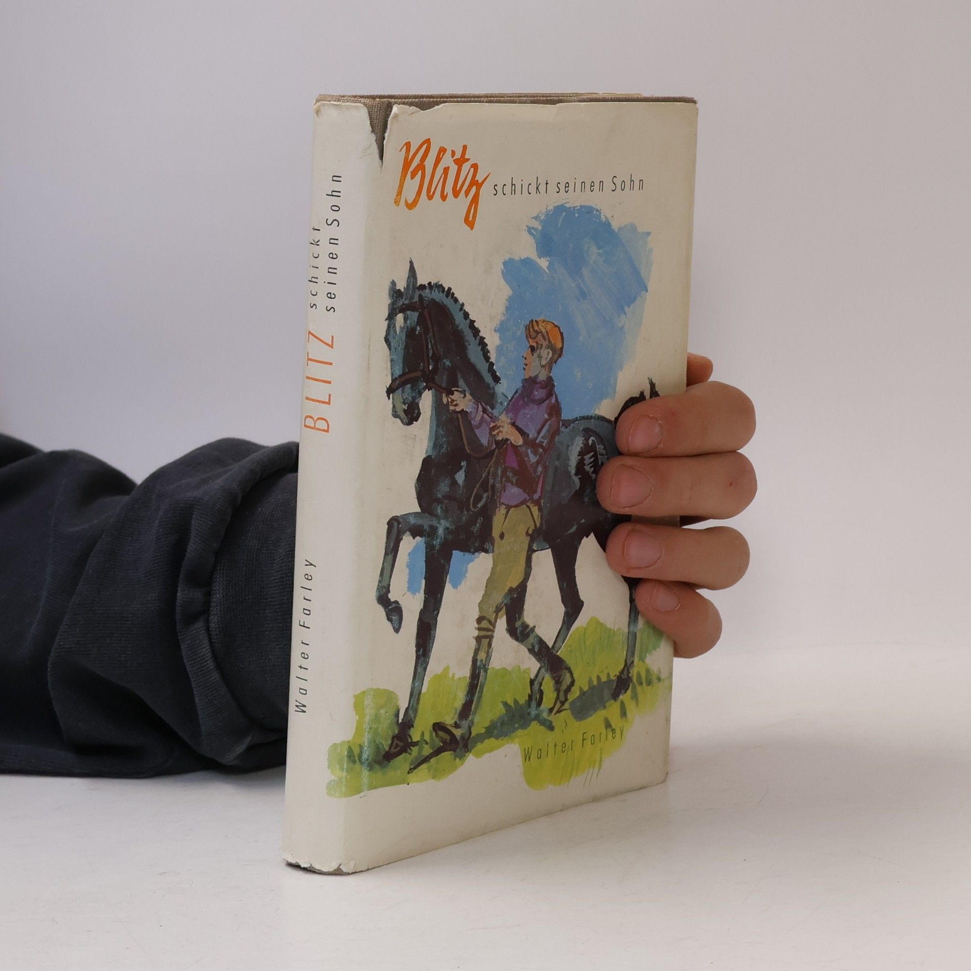 Walter Farley Blitz schickt seinen Sohn
