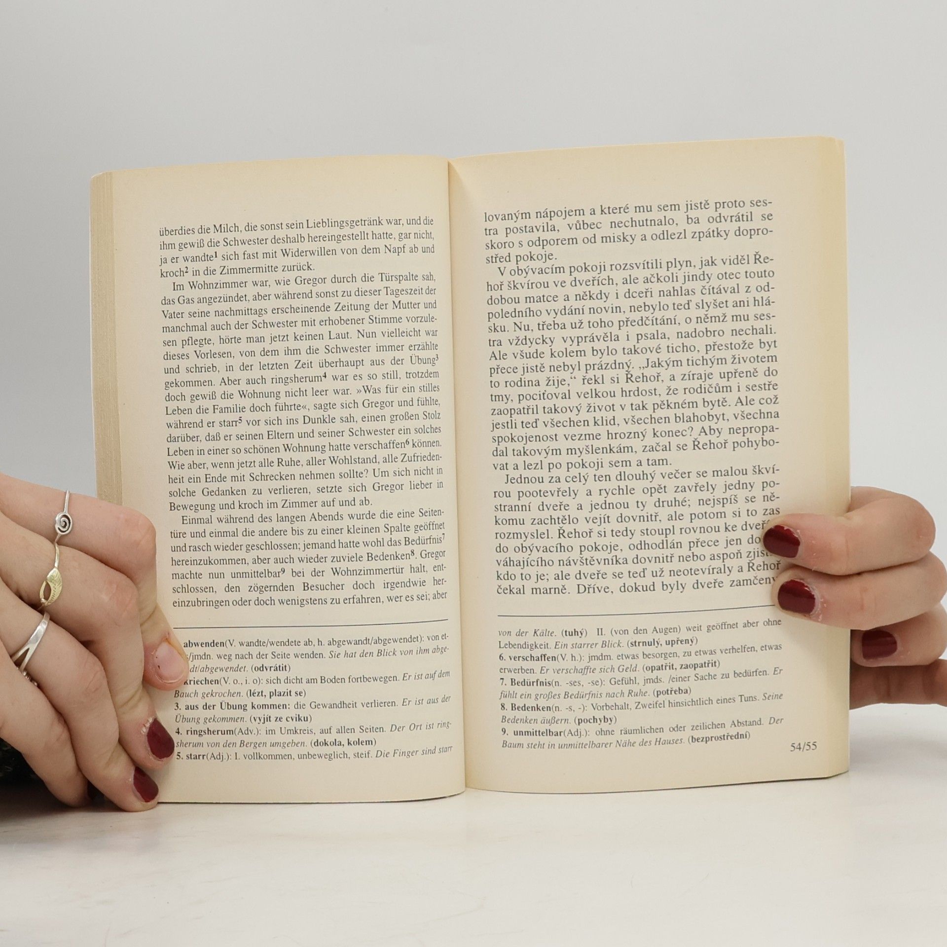 Franz Kafka Die Verwandlung = Proměna