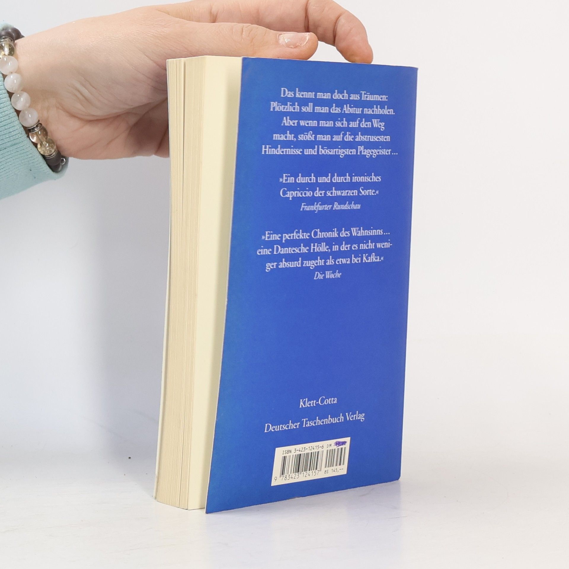 Marianne Schneider dtv Literatur: Mitternachtsabitur