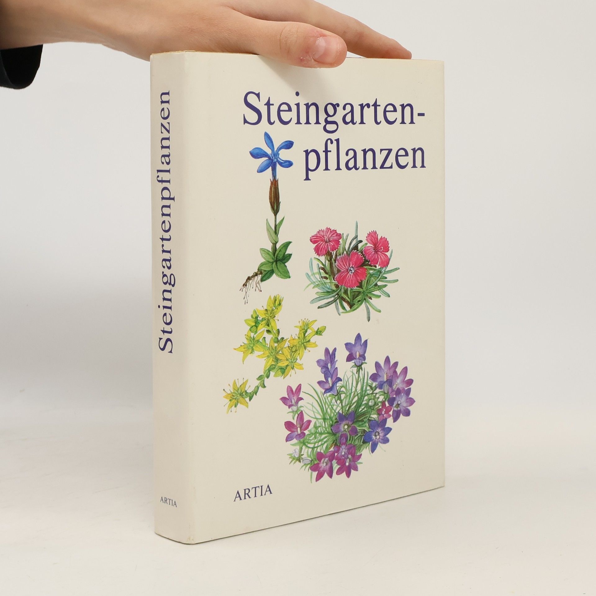 Steingartenpflanzen